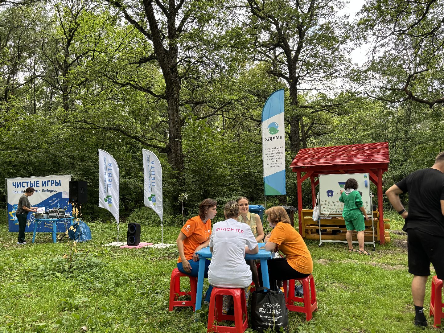 Горенский лесопарк, экология, чистые игры,