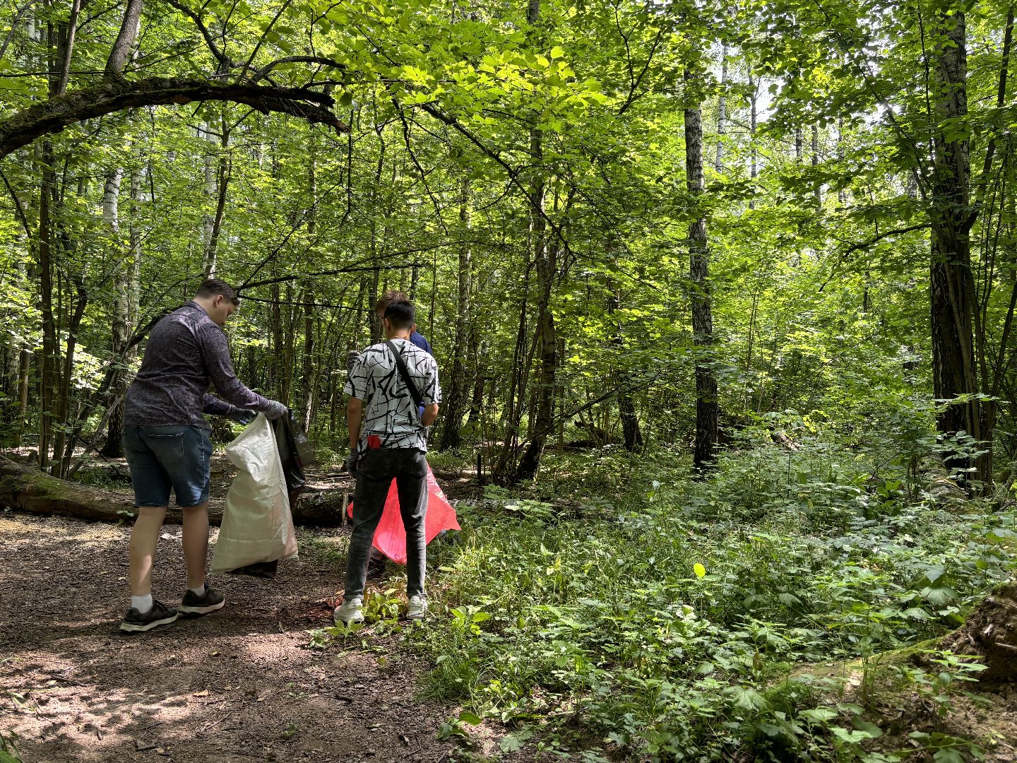 Горенский лесопарк, экология, чистые игры,