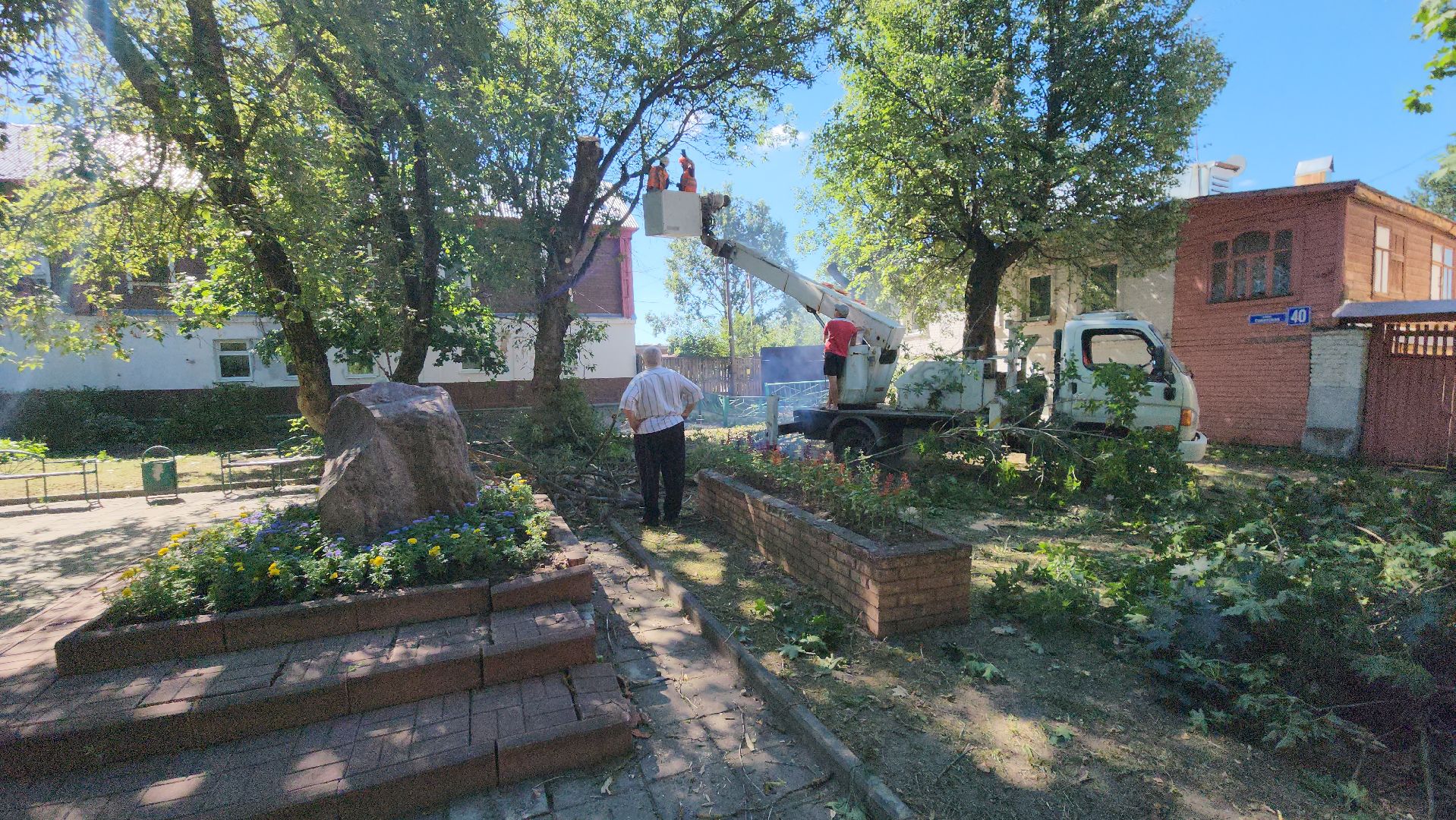 егорьевск, сквер, опил деревьев, опиловка, благоустойство,