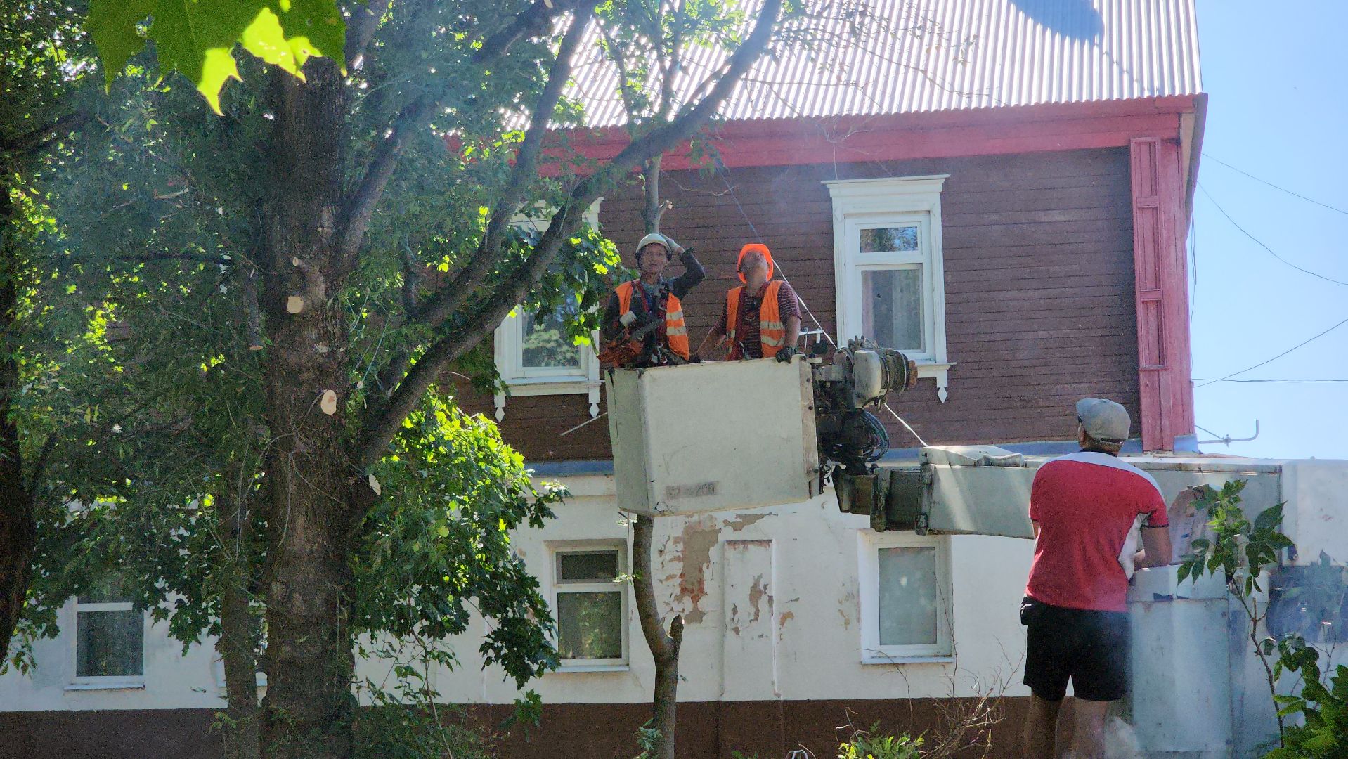 егорьевск, сквер, опил деревьев, опиловка, благоустойство,