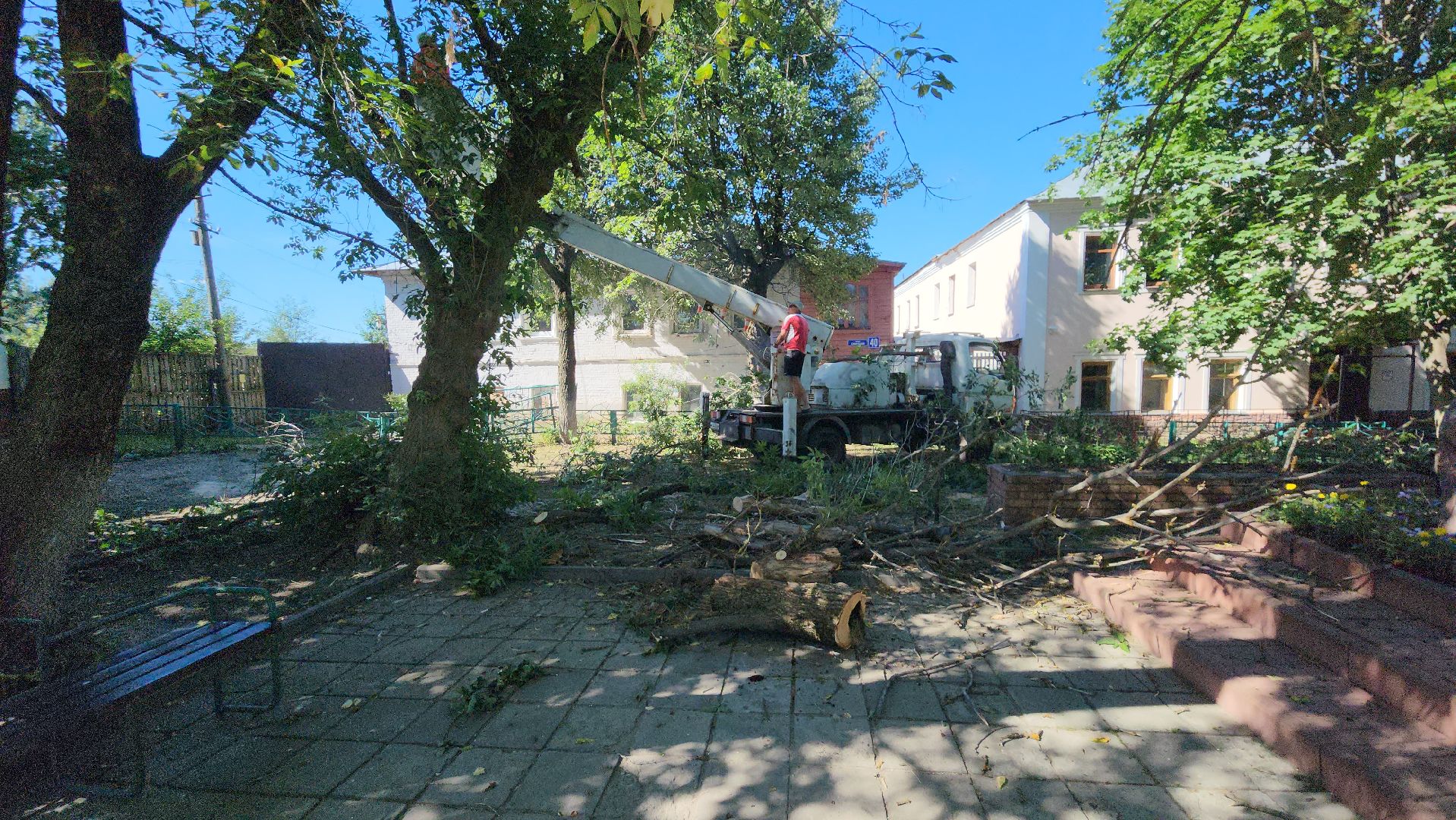 егорьевск, сквер, опил деревьев, опиловка, благоустойство,