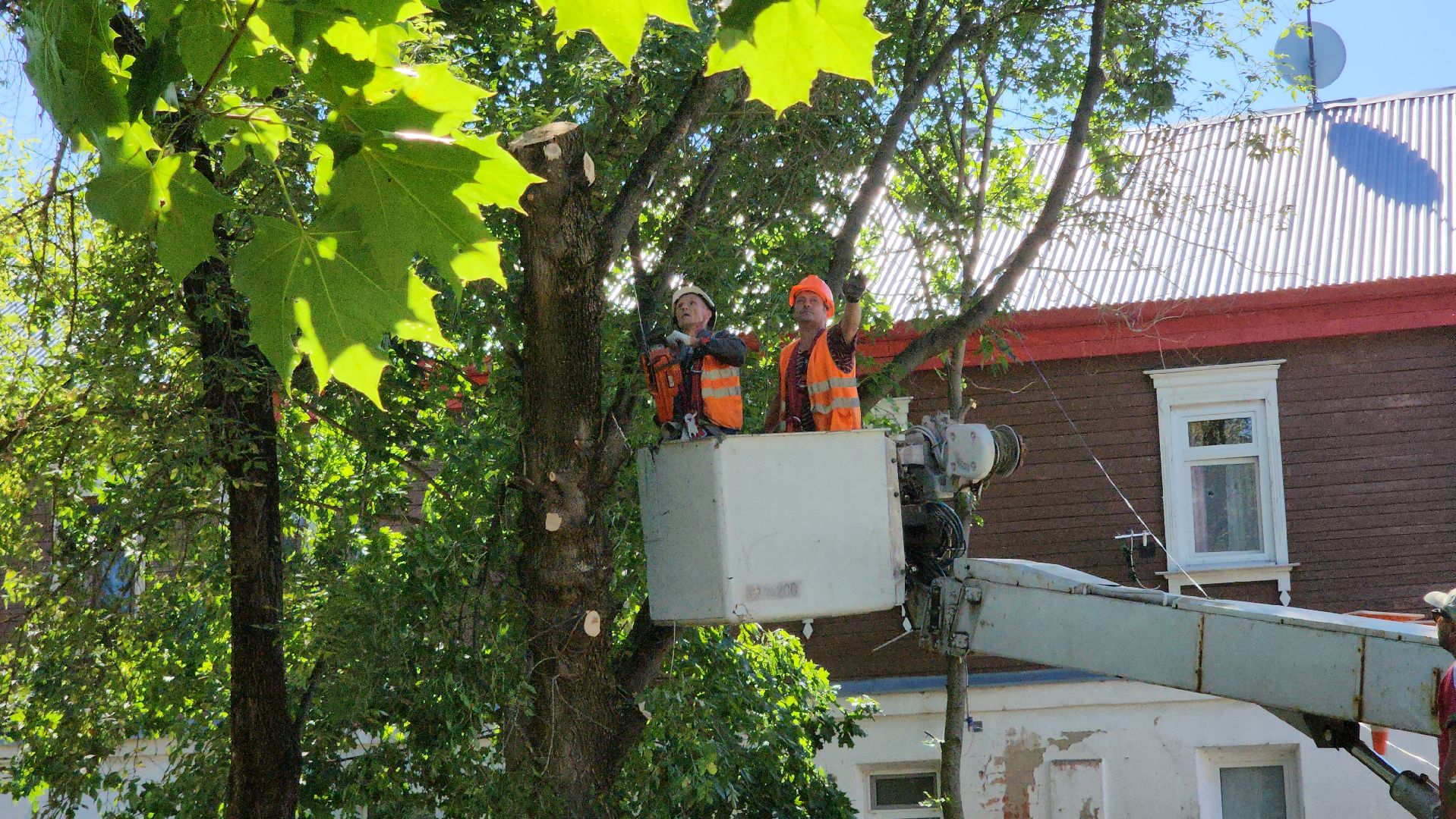 егорьевск, сквер, опил деревьев, опиловка, благоустойство,