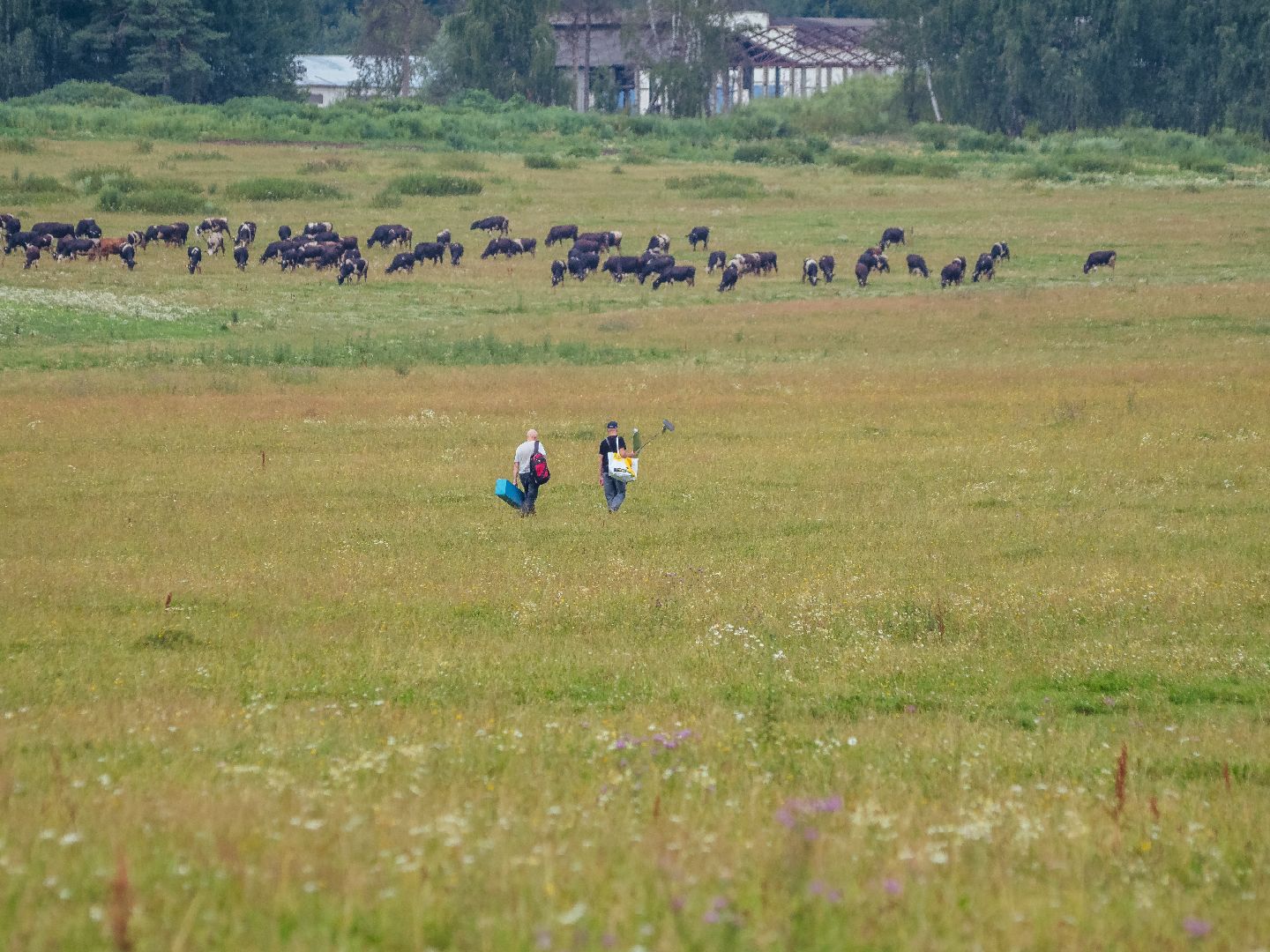 подмоксовье, велогонки, спорт,