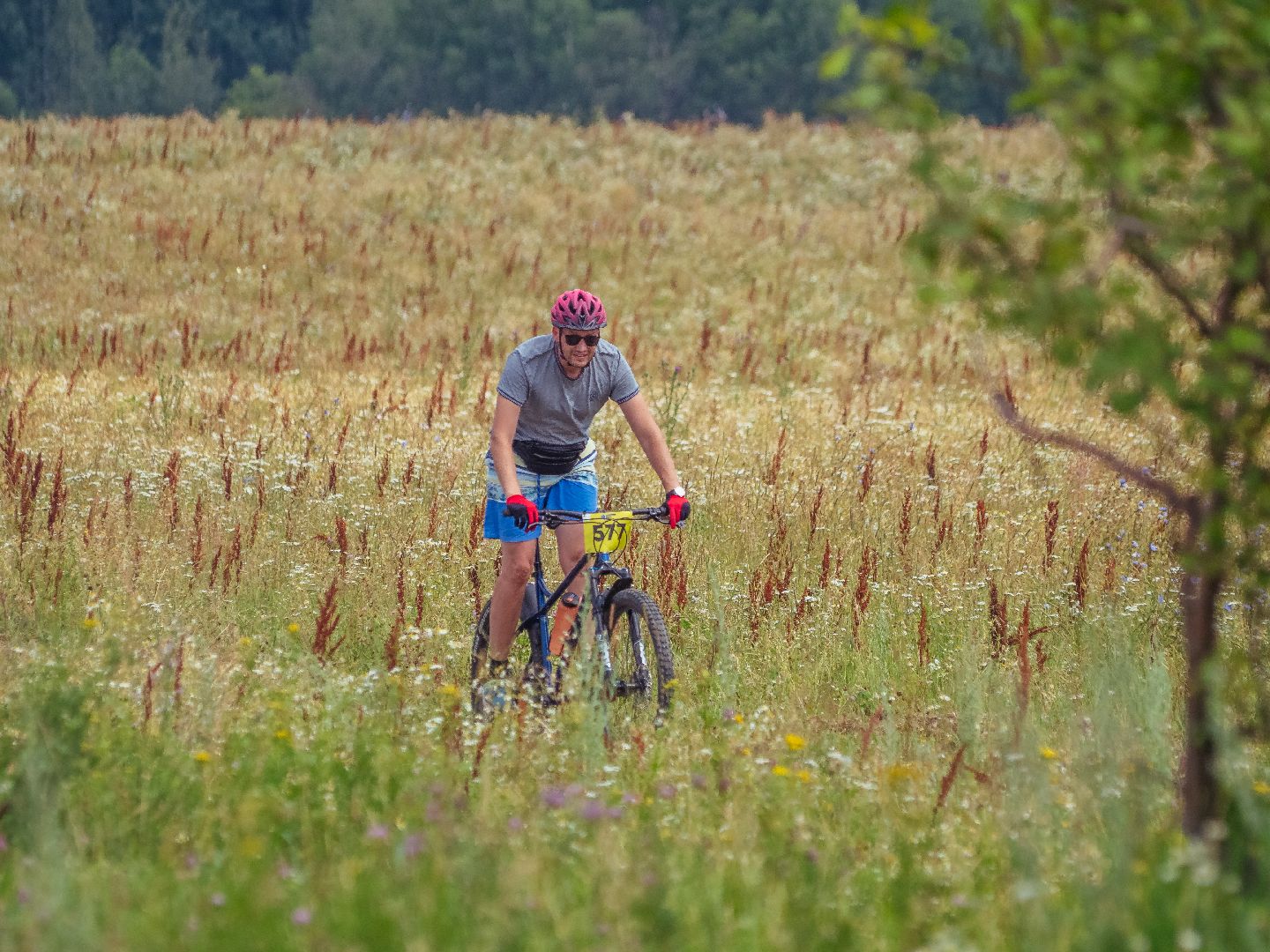 подмоксовье, велогонки, спорт,