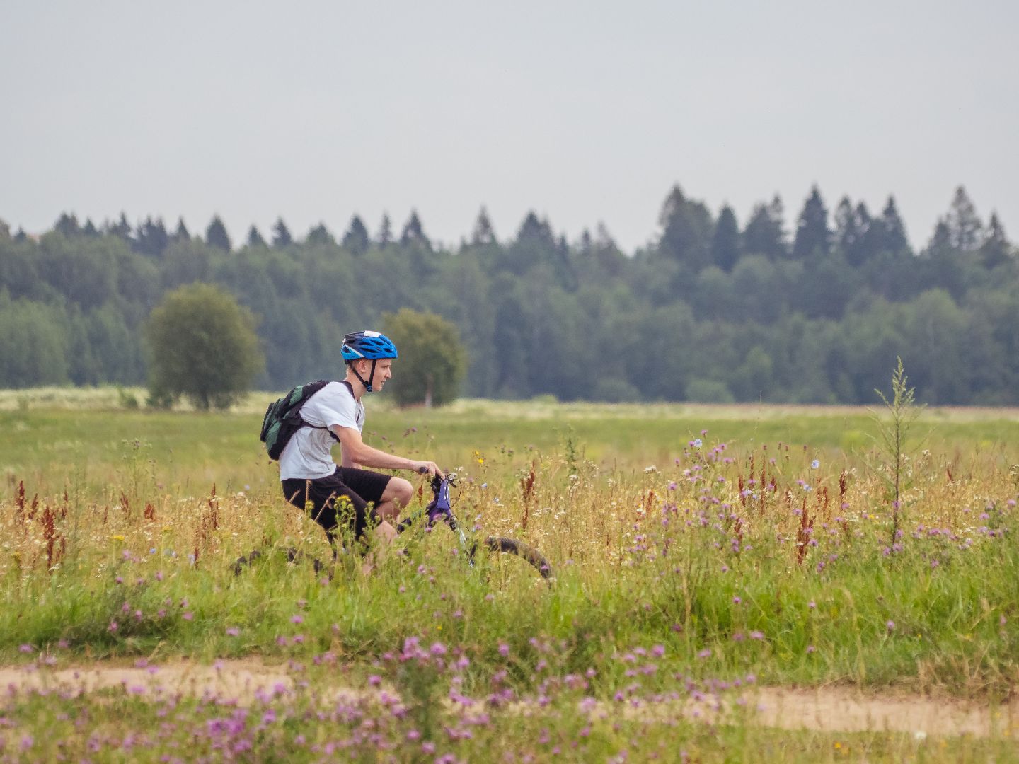 подмоксовье, велогонки, спорт,
