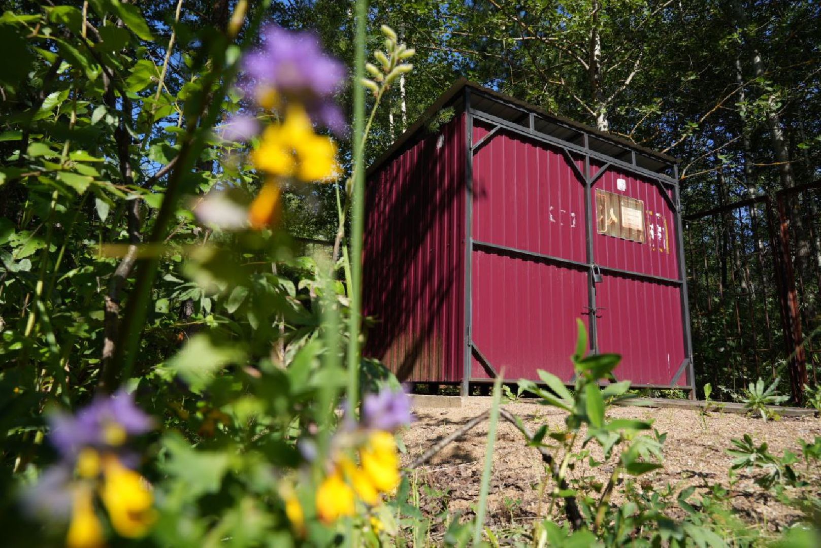 СНТ, Дачники, Экология, Вывоз мусора, Регоператор,