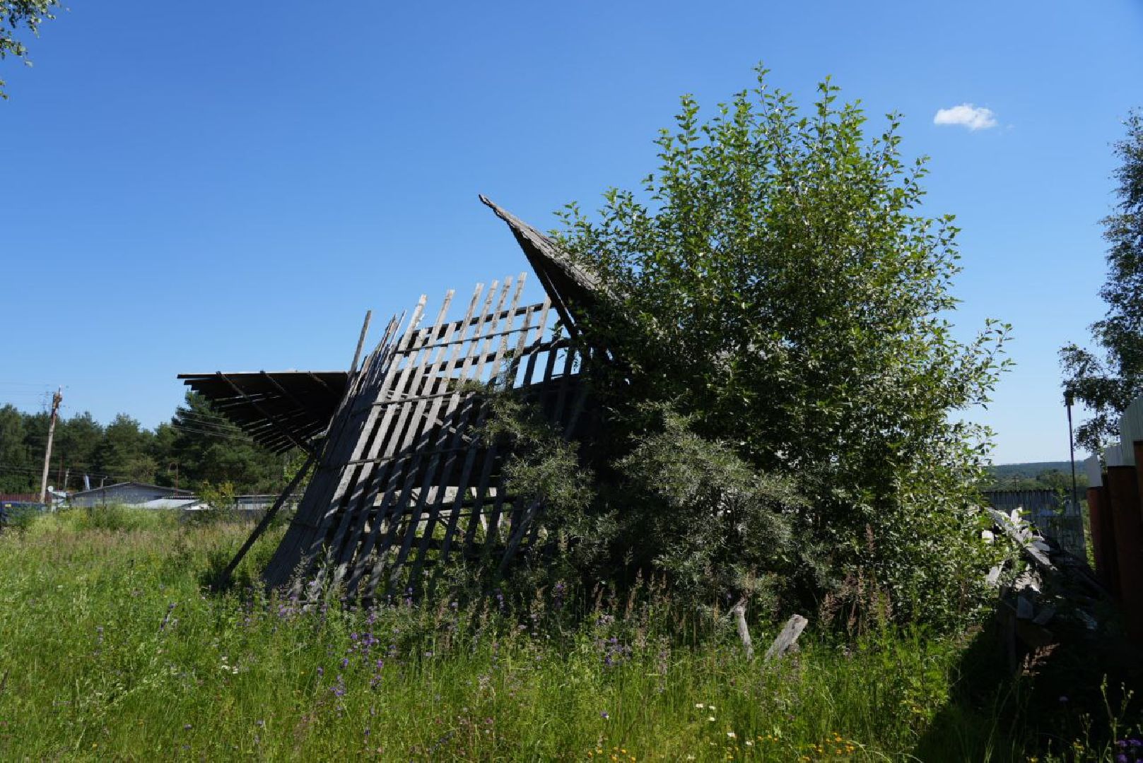 СНТ, Дачники, Экология, Вывоз мусора, Регоператор,