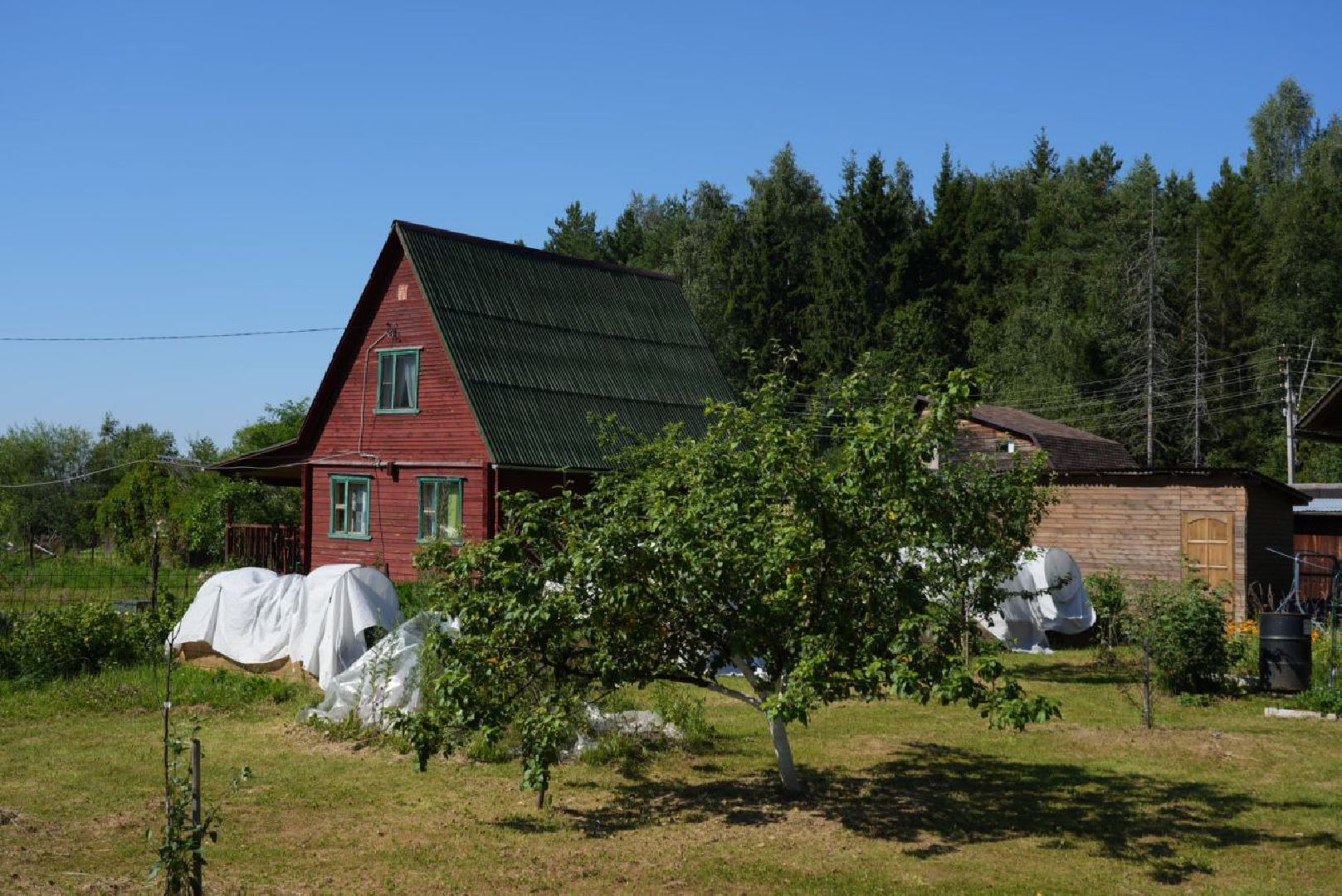 СНТ, Дачники, Экология, Вывоз мусора, Регоператор,
