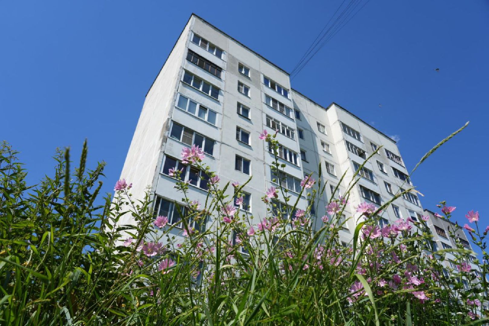 Благоустройство, Сквер, Диалог с властью, Обновление территорий, Зоны отдыха,