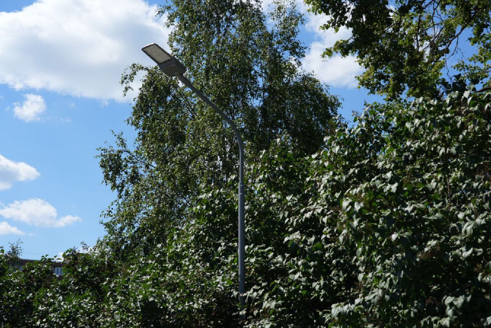 Благоустройство, Сквер, Диалог с властью, Обновление территорий, Зоны отдыха,