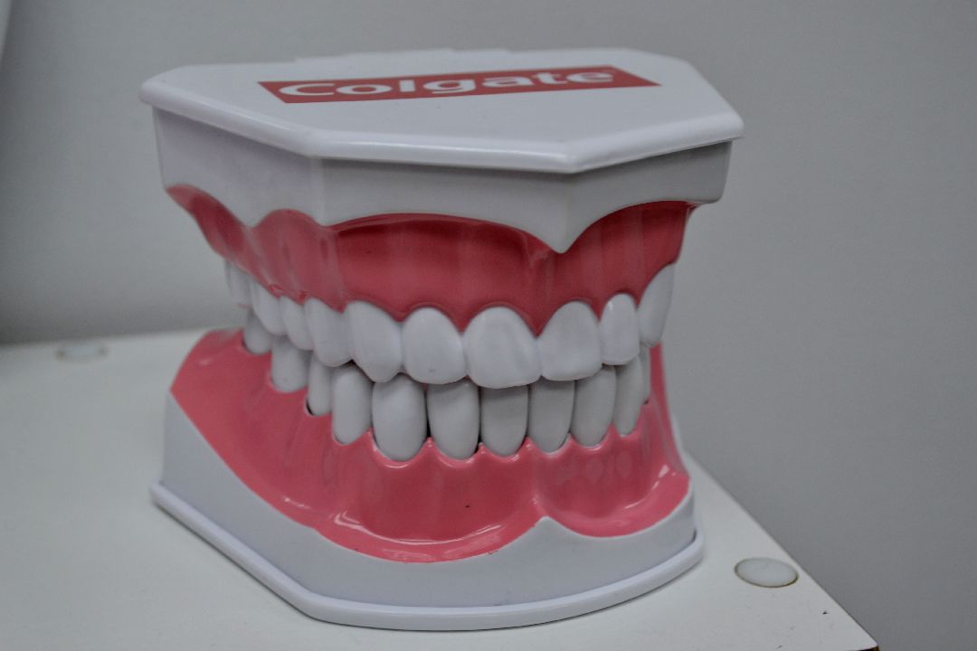 Балашиха, общество