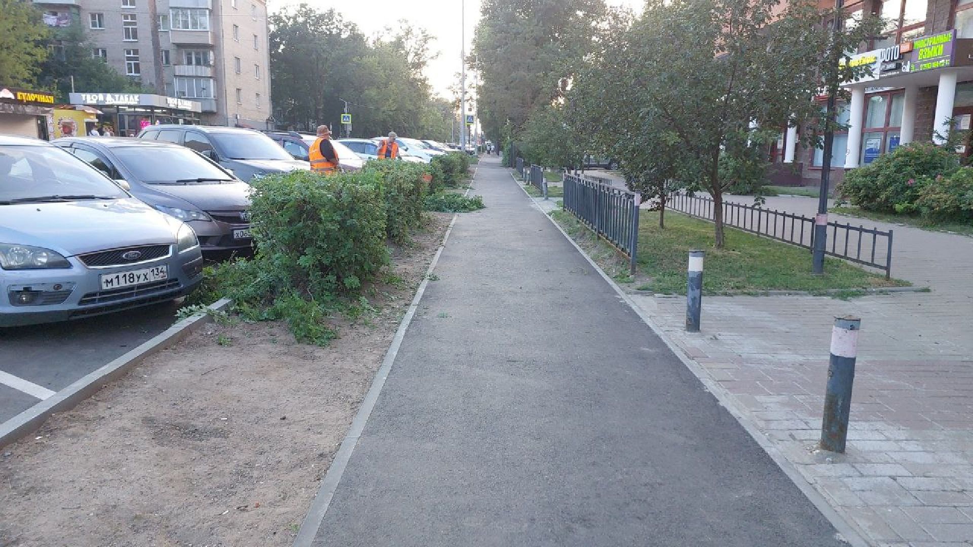 пушкино, обрезка деревьев, благоустройство, стрижка, жара,