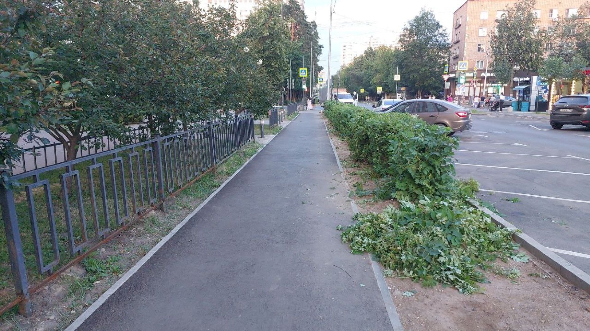 пушкино, обрезка деревьев, благоустройство, стрижка, жара,