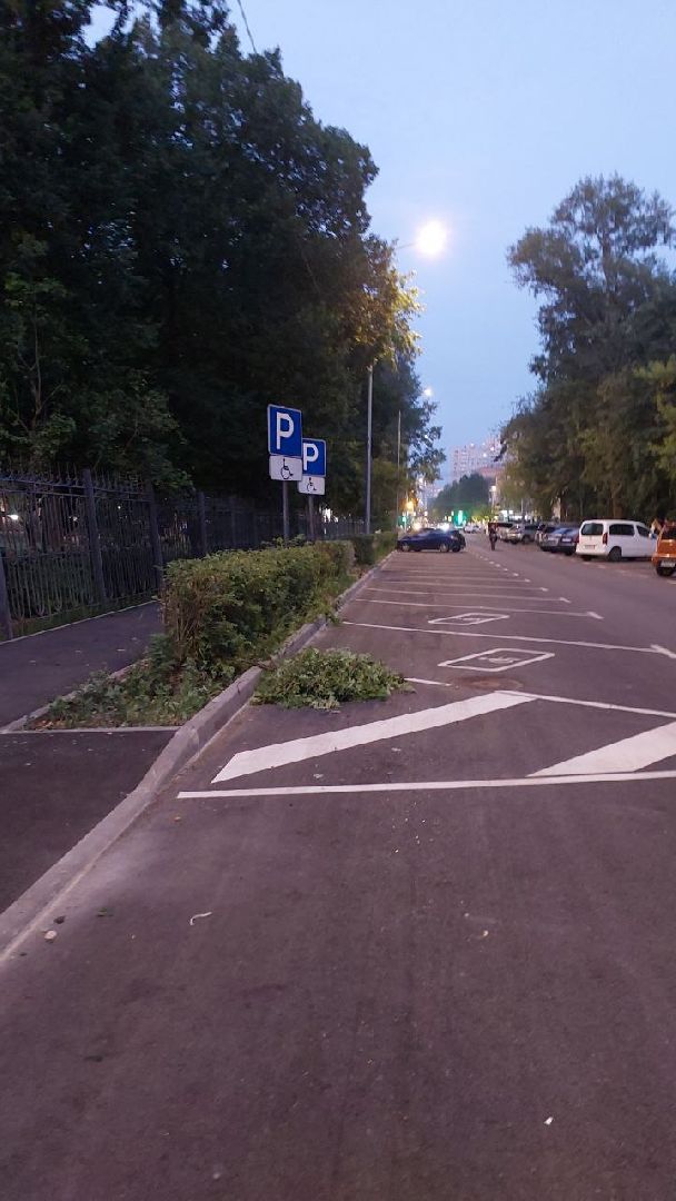 пушкино, обрезка деревьев, благоустройство, стрижка, жара,