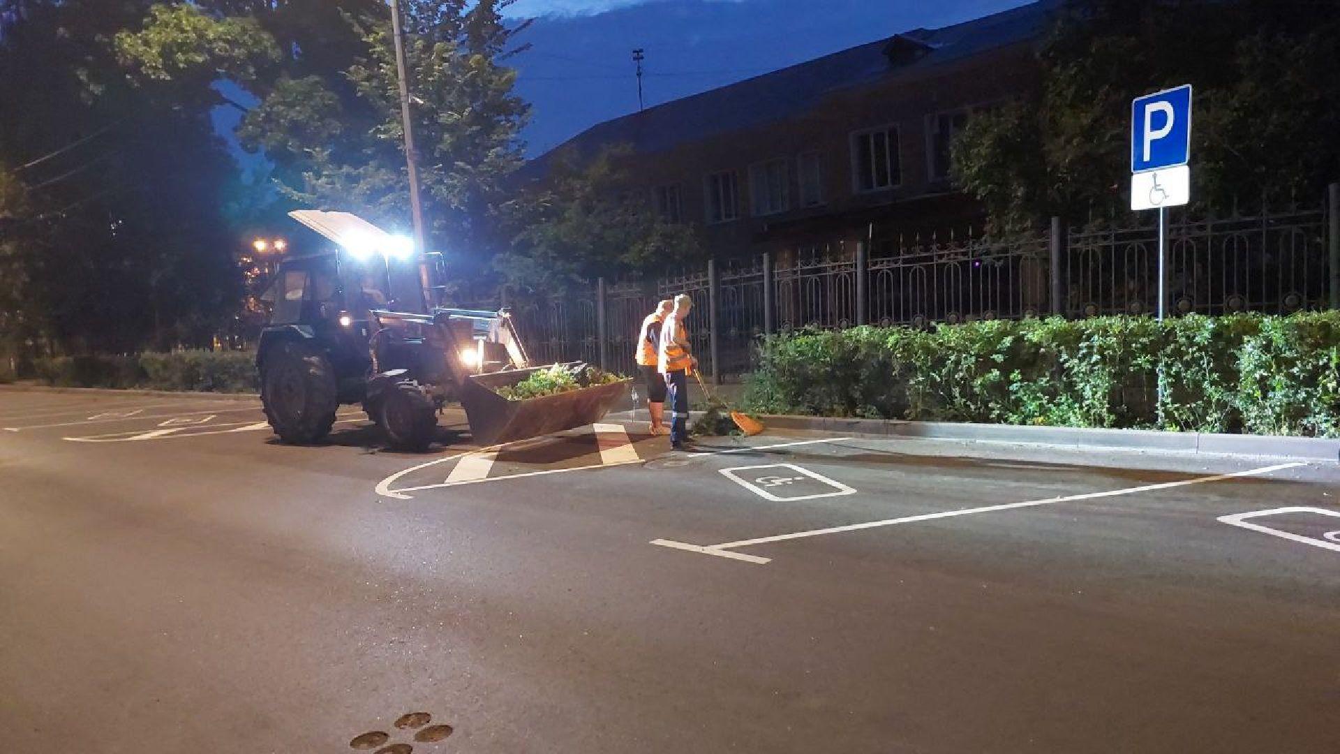 пушкино, обрезка деревьев, благоустройство, стрижка, жара,