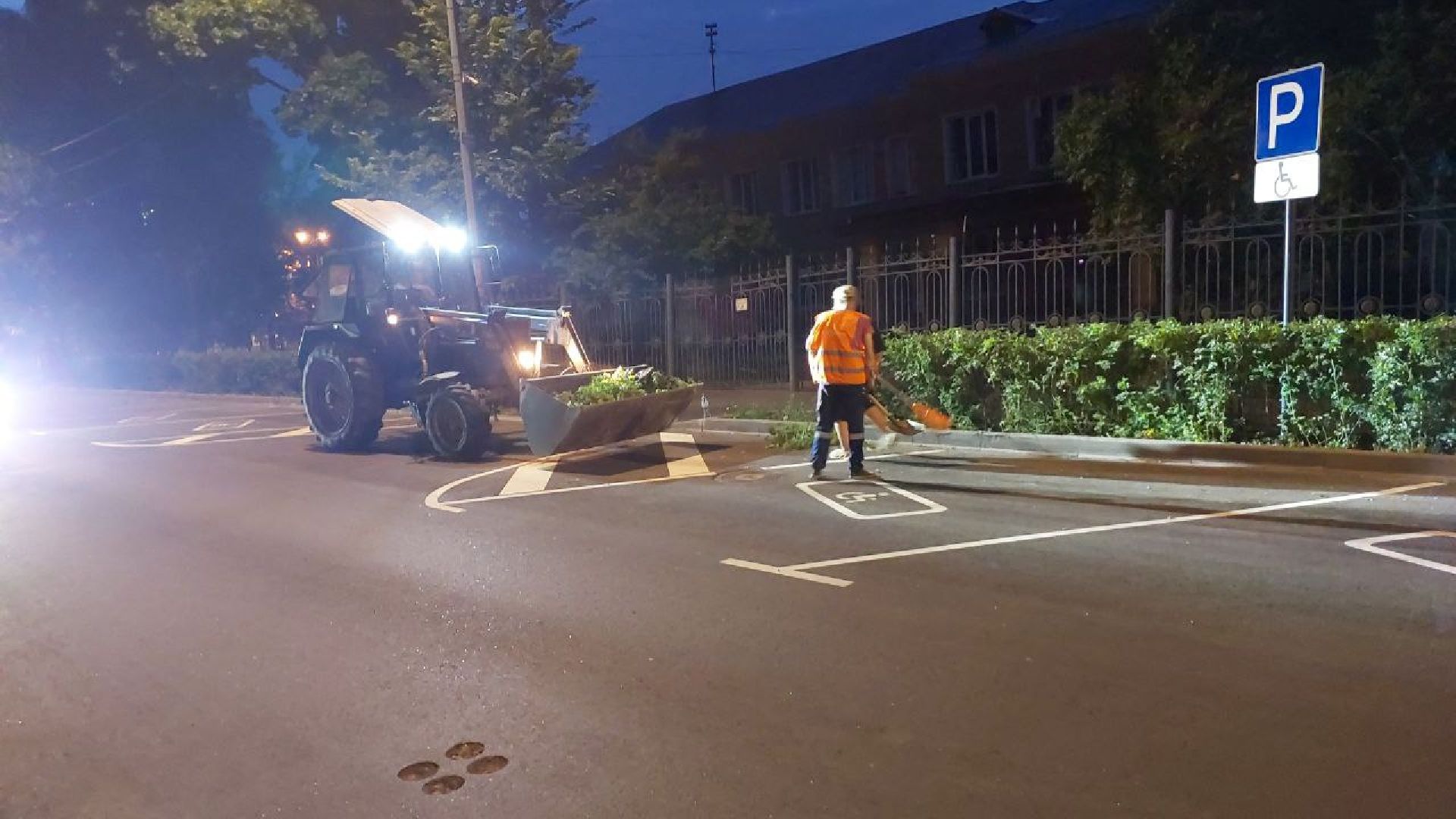 пушкино, обрезка деревьев, благоустройство, стрижка, жара,