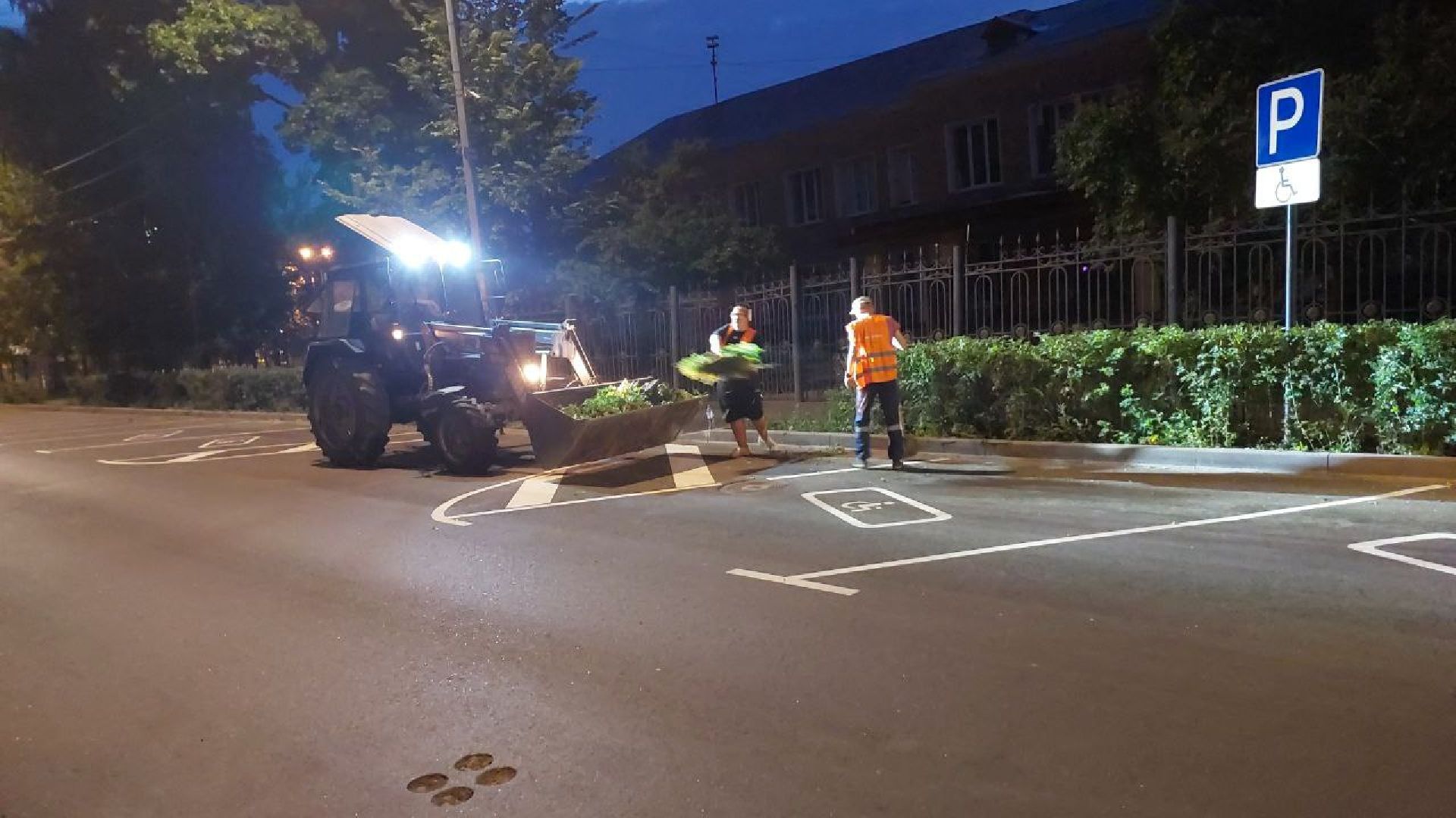 пушкино, обрезка деревьев, благоустройство, стрижка, жара,