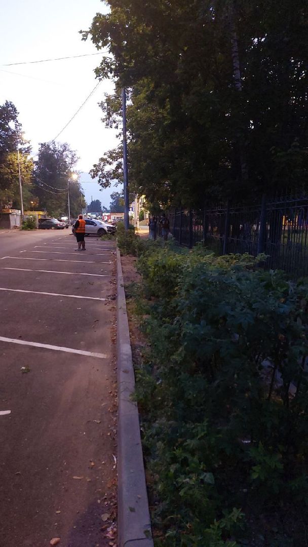 пушкино, обрезка деревьев, благоустройство, стрижка, жара,