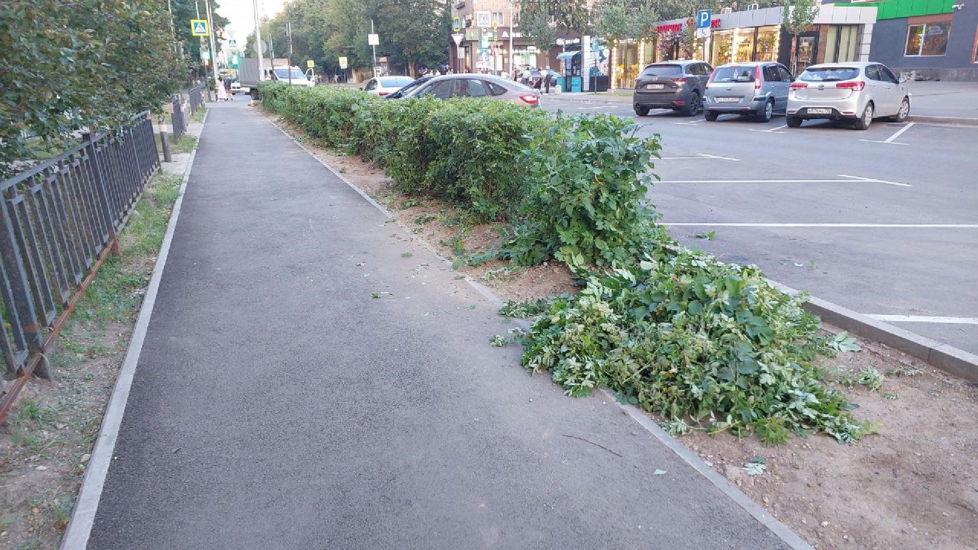 пушкино, обрезка деревьев, благоустройство, стрижка, жара,