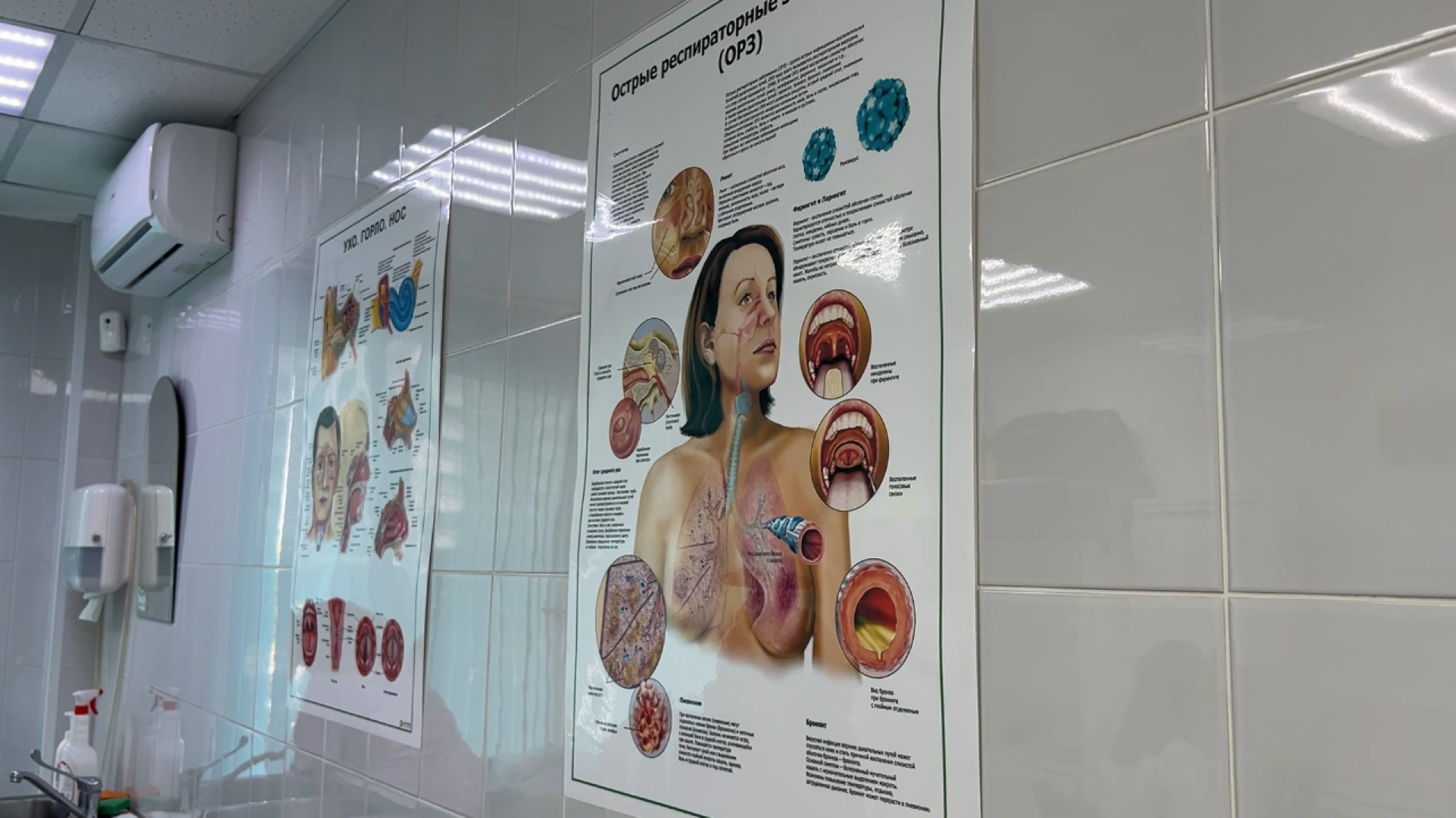 химки, экономика, малый бизнес, предпринимательство, меры поддержки, медцентр,