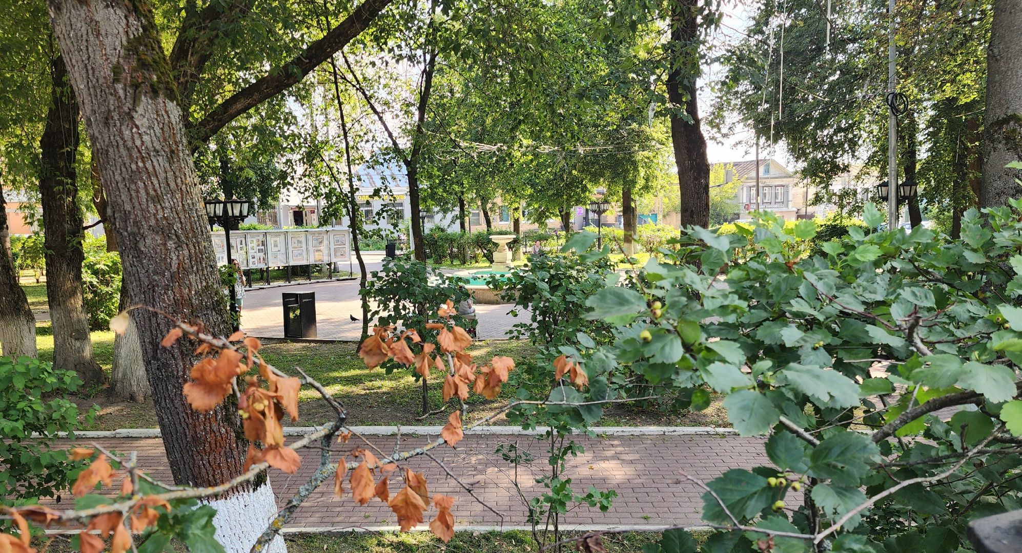 Звенигород, Культура, Фотовыставка,