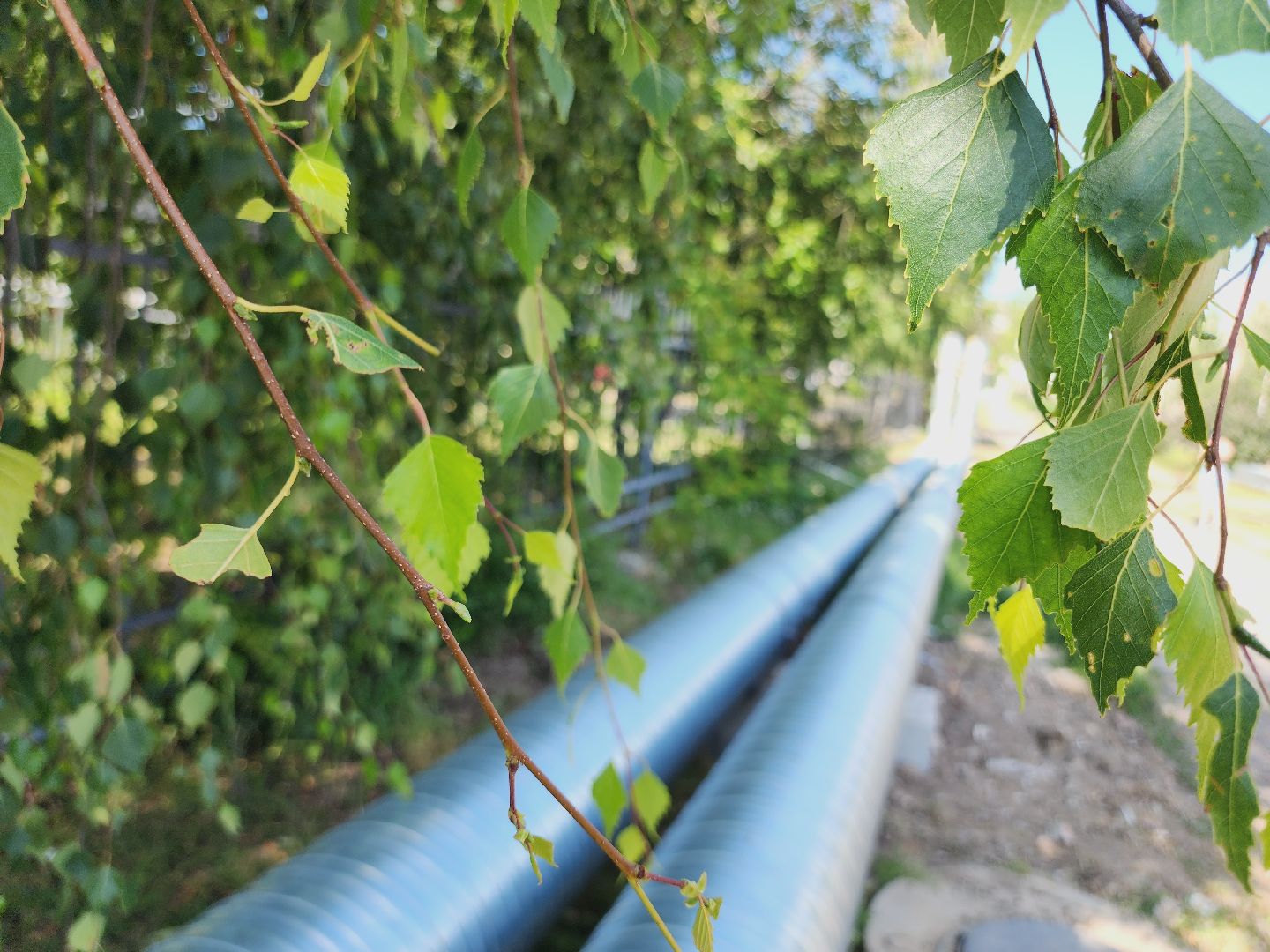 Егорьевск, Подмосоквье, Московская область, ЖКХ, теплосети,