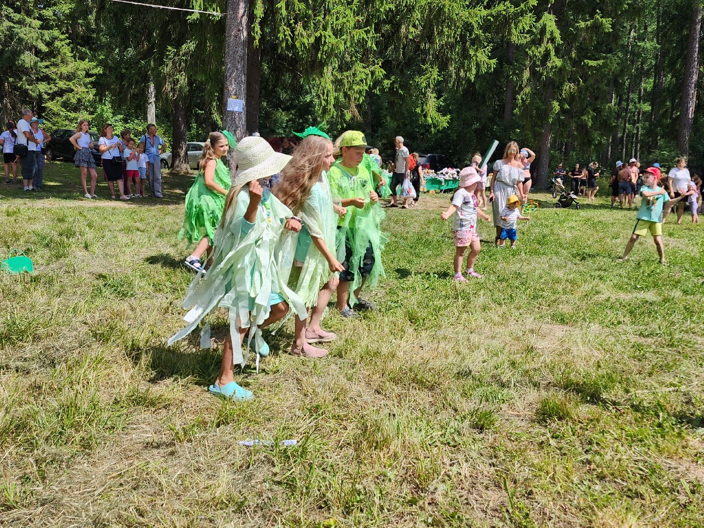 волоколамск, осташево, день нептуна,