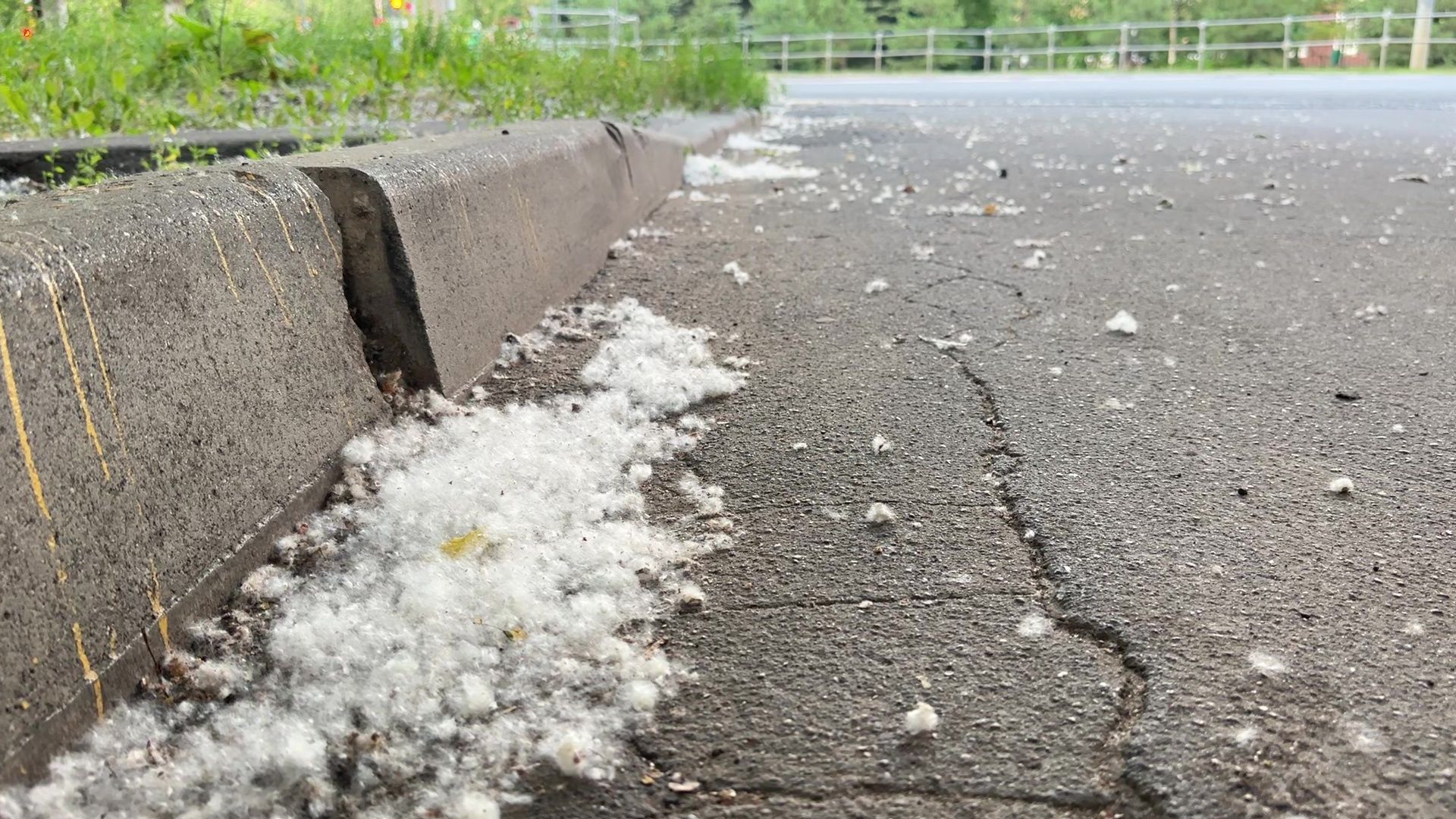 Реутов, тополиный пух, погода, жара, лето, снег летом,