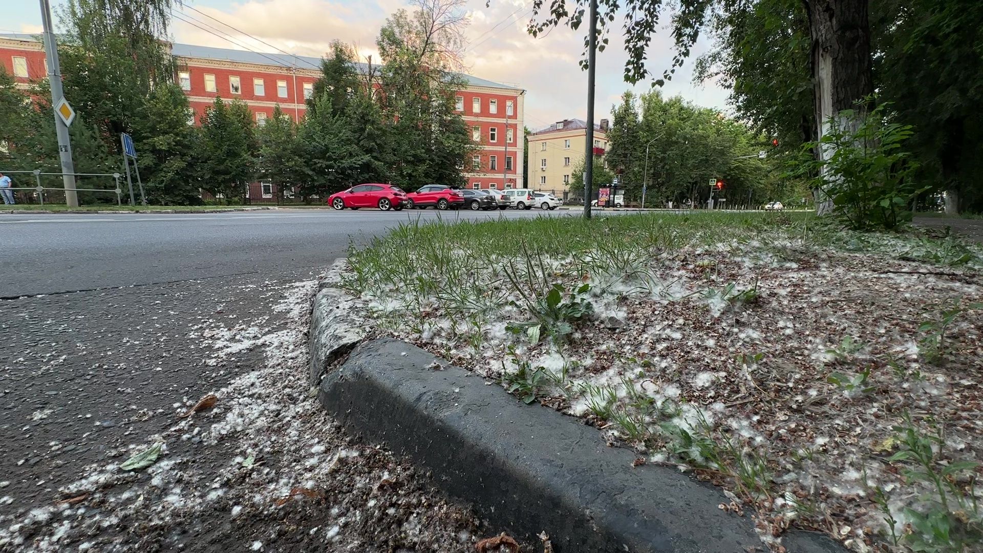 Реутов, тополиный пух, погода, жара, лето, снег летом,