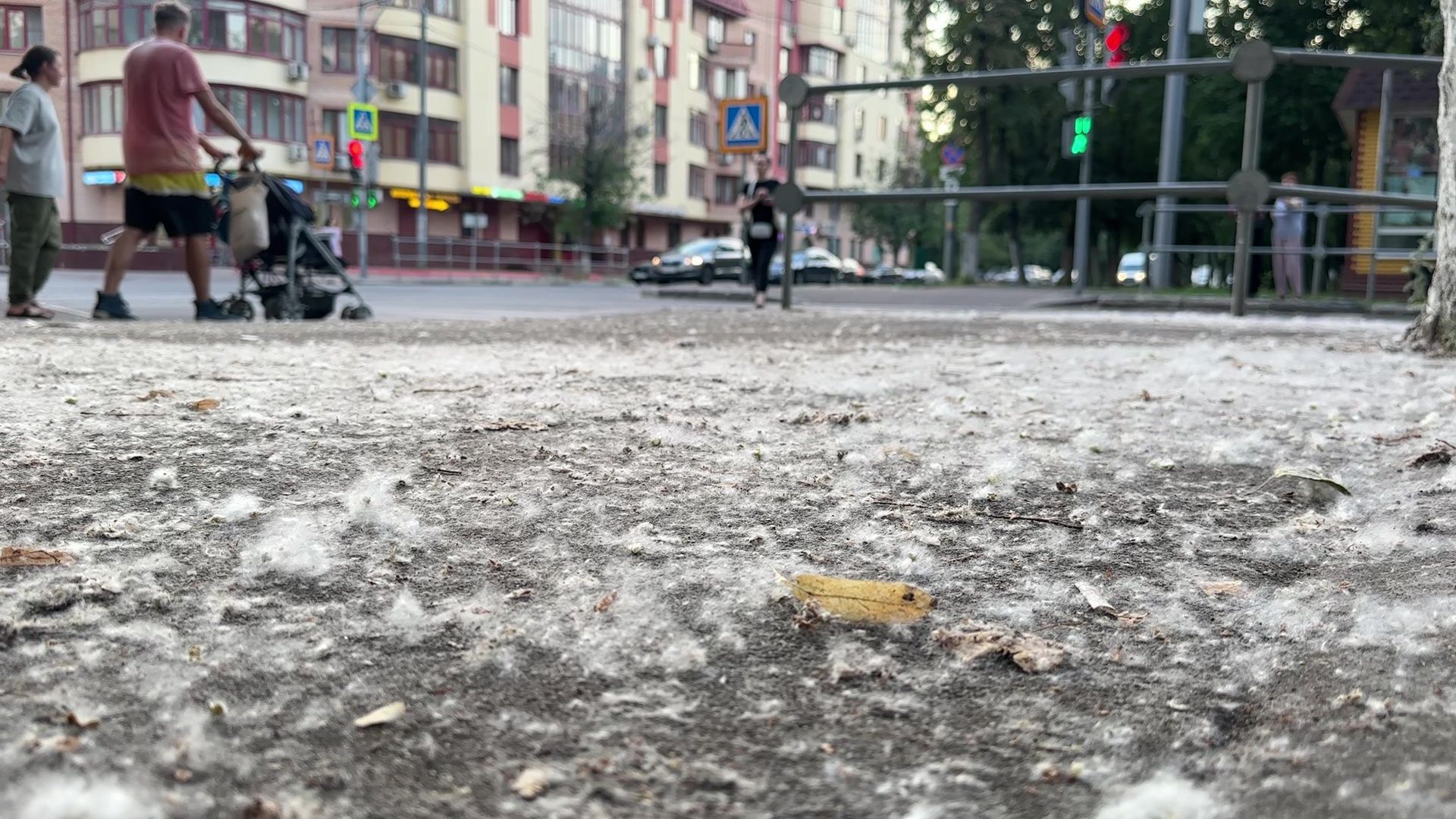 Реутов, тополиный пух, погода, жара, лето, снег летом,