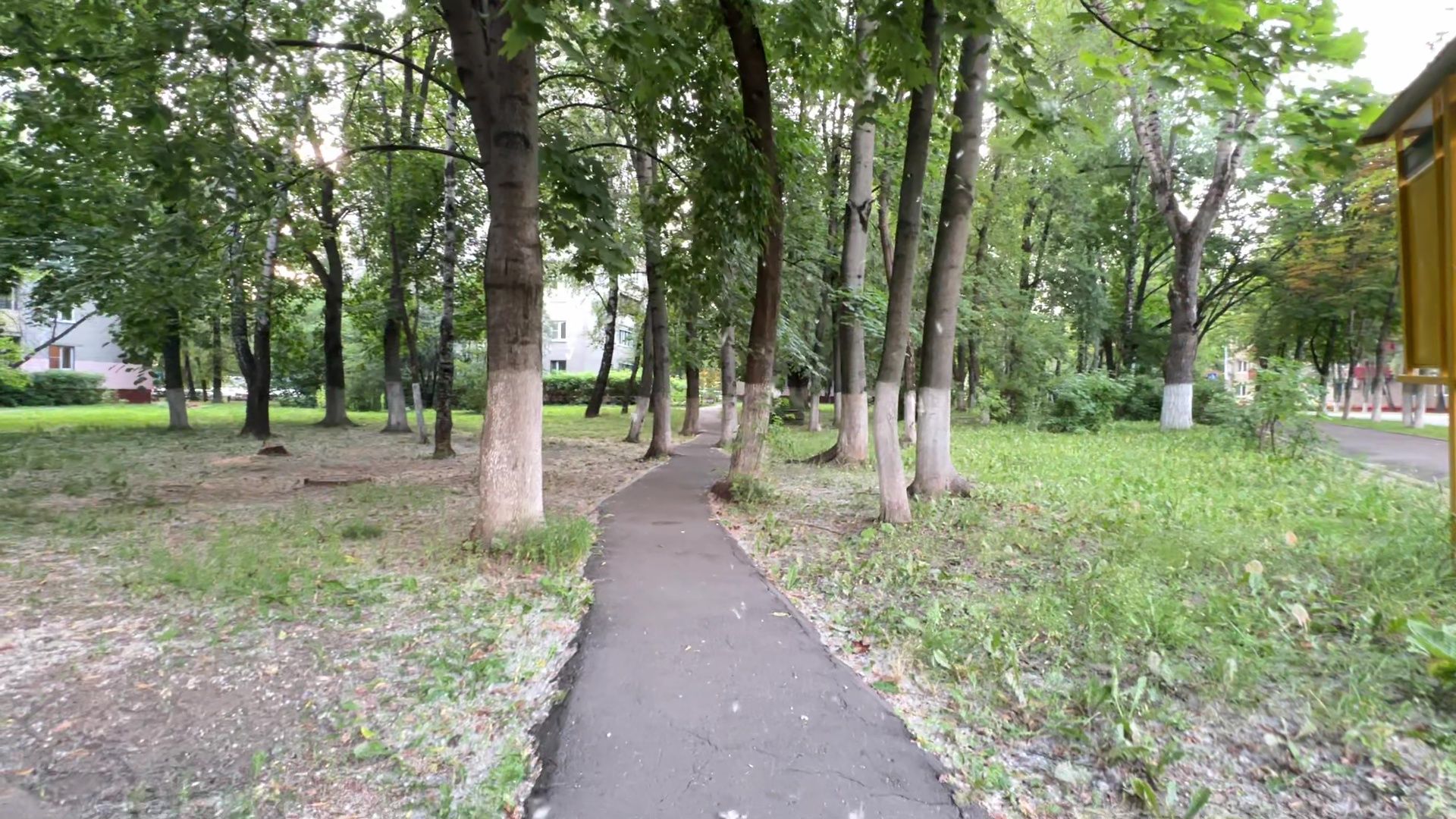 Реутов, тополиный пух, погода, жара, лето, снег летом,