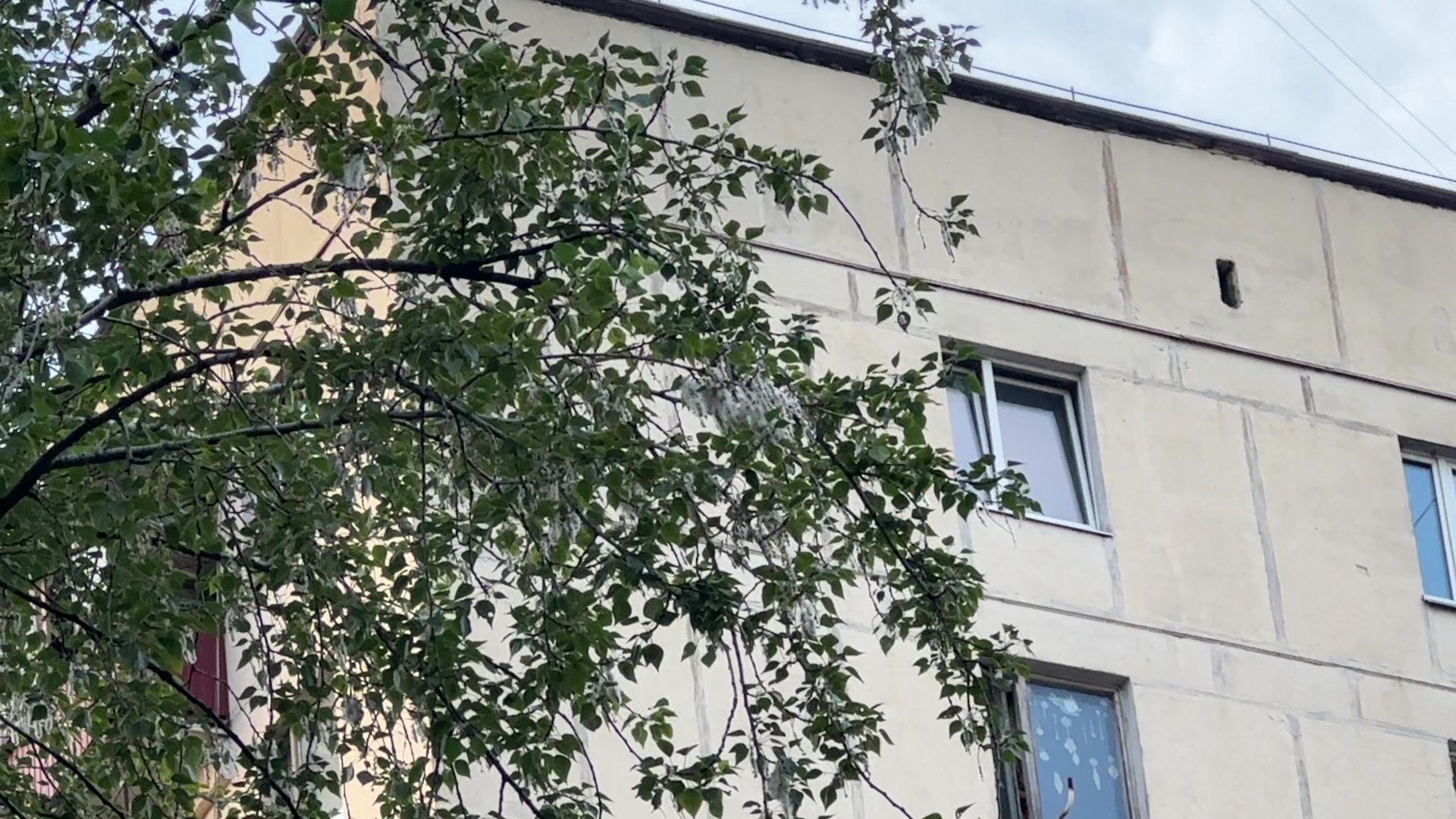 Реутов, тополиный пух, погода, жара, лето, снег летом,