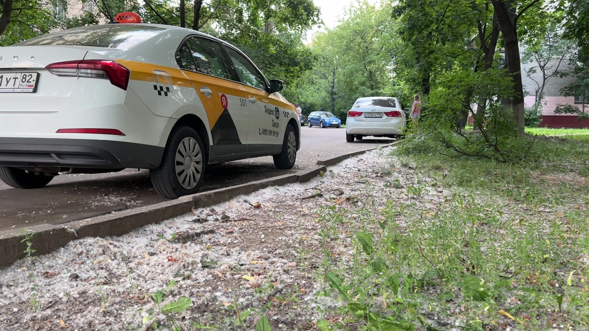 Реутов, тополиный пух, погода, жара, лето, снег летом,