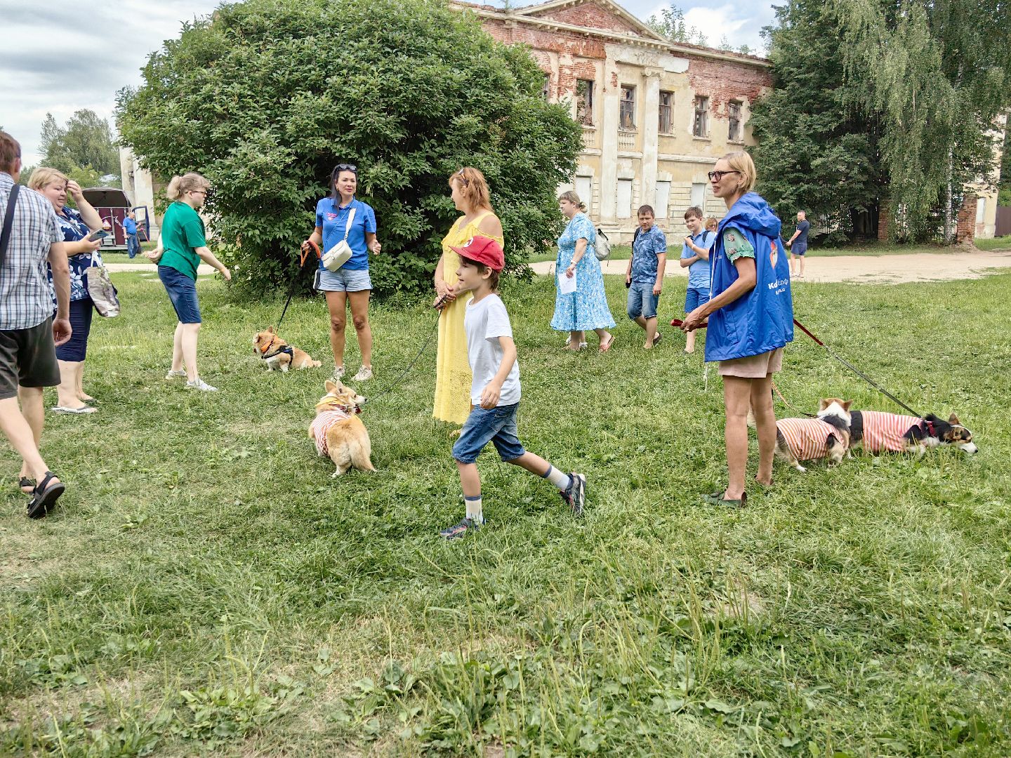 канистерапия, корги отряд, четвероногий друг, усадьба гребнево, фестиваль, щёлково,