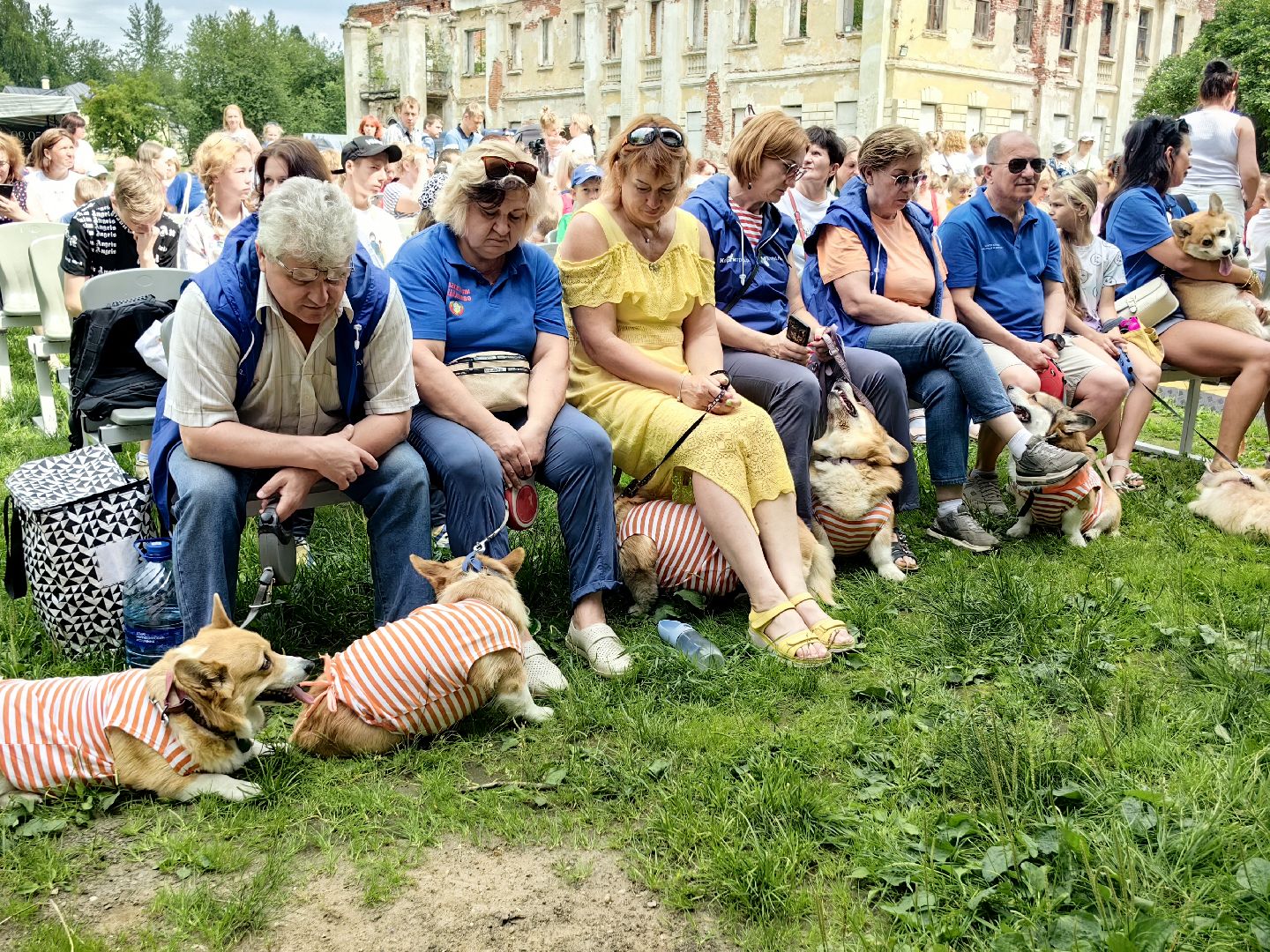 канистерапия, корги отряд, четвероногий друг, усадьба гребнево, фестиваль, щёлково,
