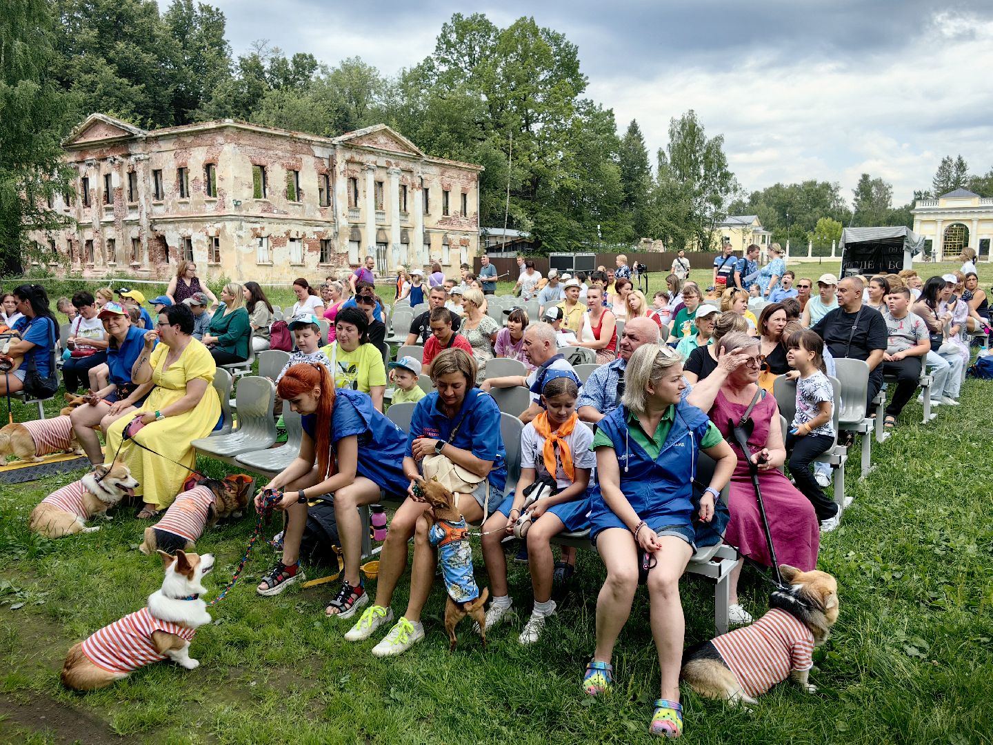 канистерапия, корги отряд, четвероногий друг, усадьба гребнево, фестиваль, щёлково,