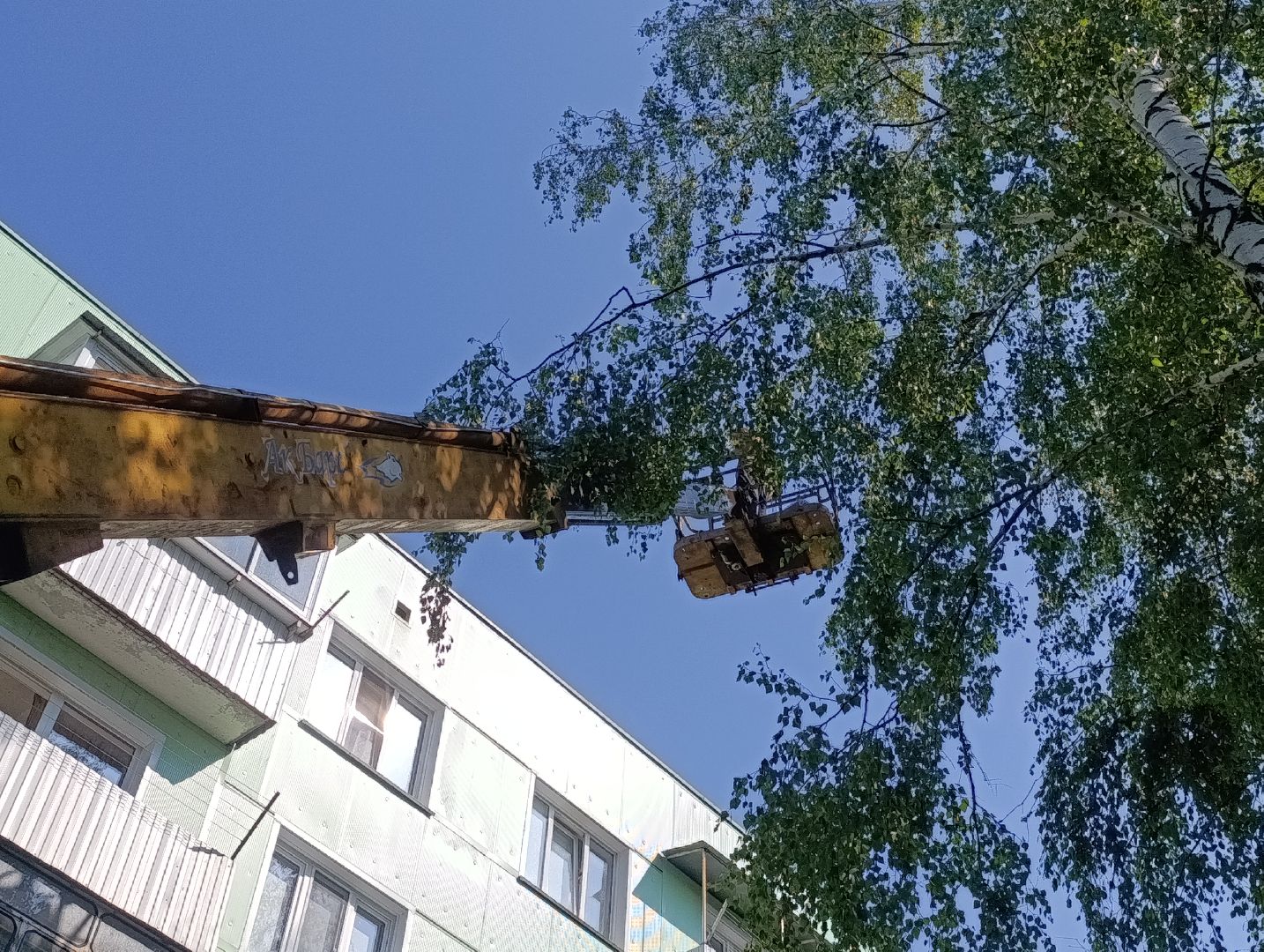 Бронницы, Благоустройство, Управляющая компания бронницкого городского хозяйства, Сетки от птиц, Подготовка к отопительному сезону,