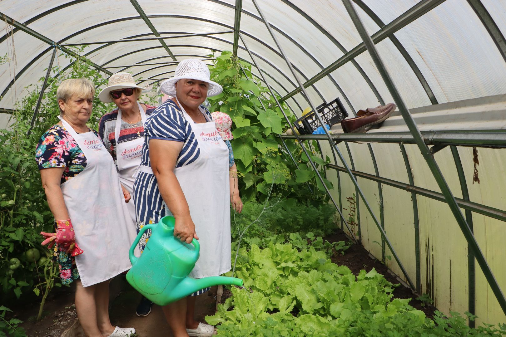 Серебряные Пруды, Активное долголетие, Общественный огород,