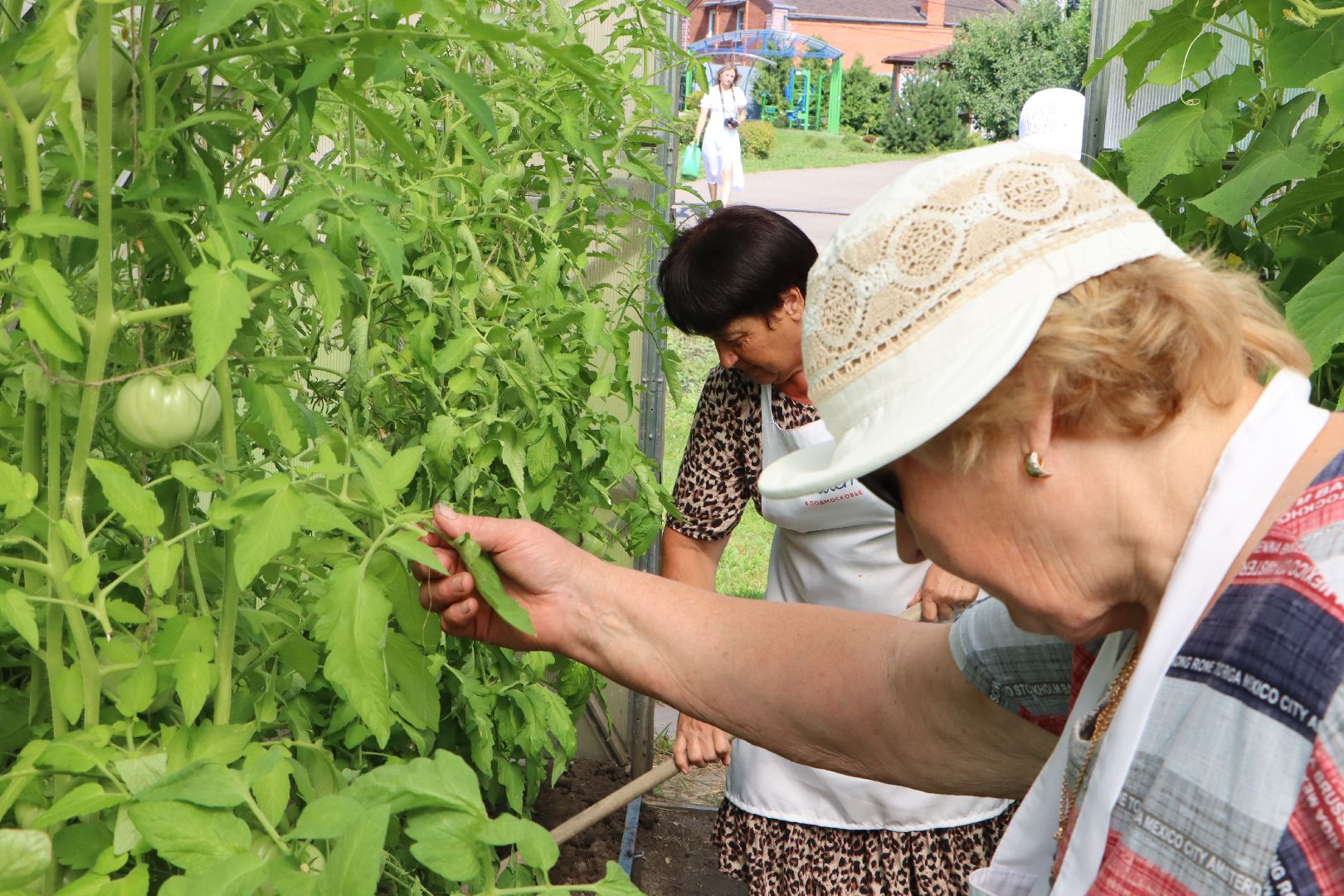 Серебряные Пруды, Активное долголетие, Общественный огород,