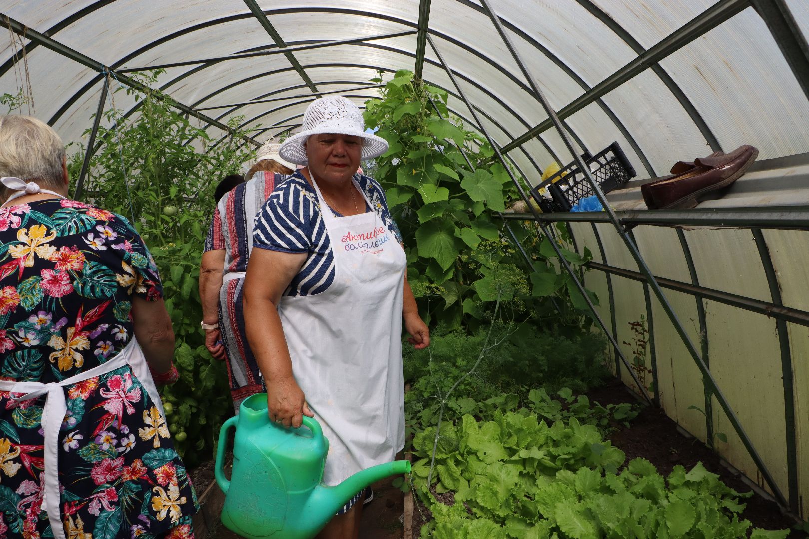 Серебряные Пруды, Активное долголетие, Общественный огород,