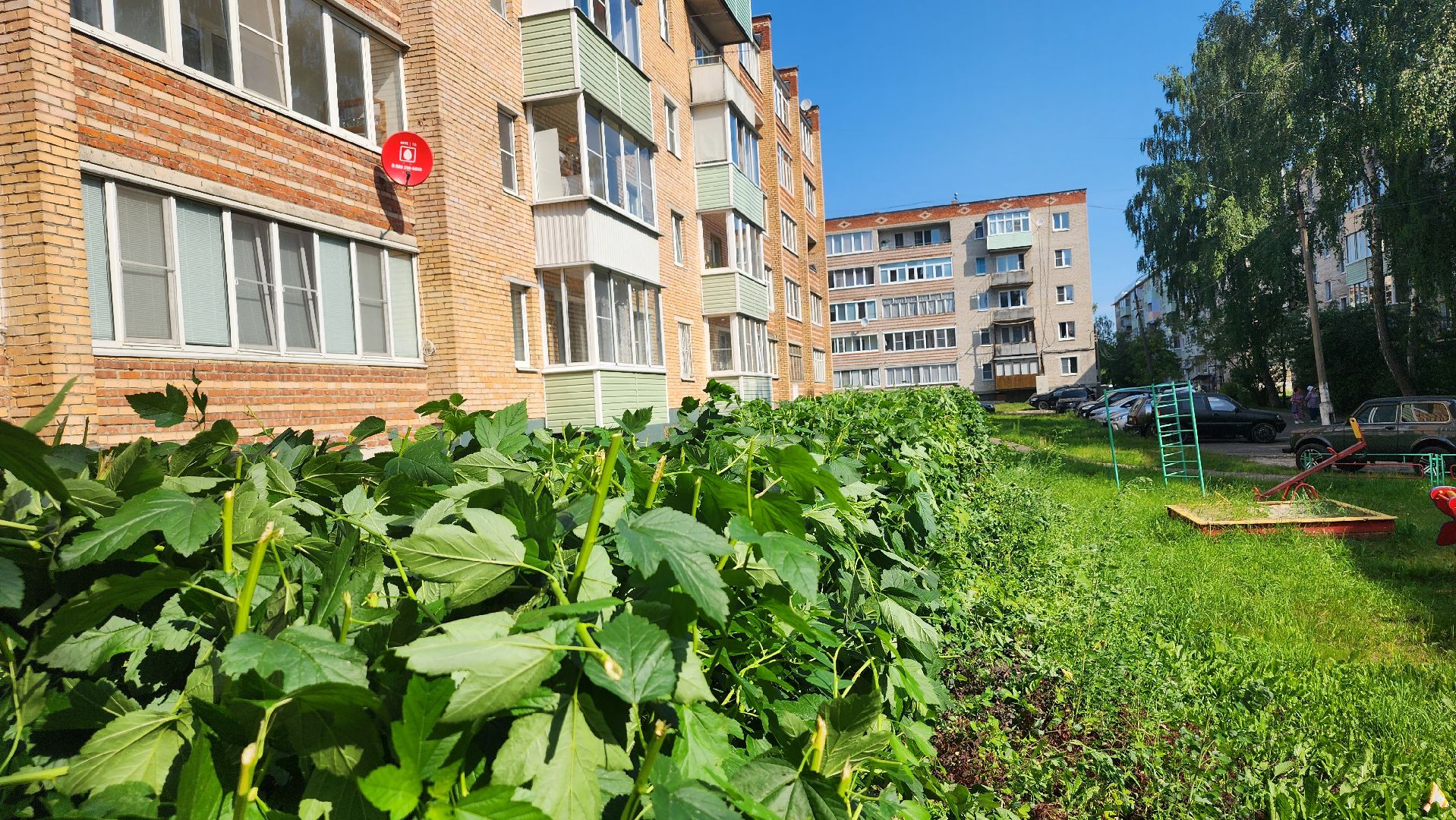 Рошаль, План добрых дел, благоустройство, Большая Шатура,