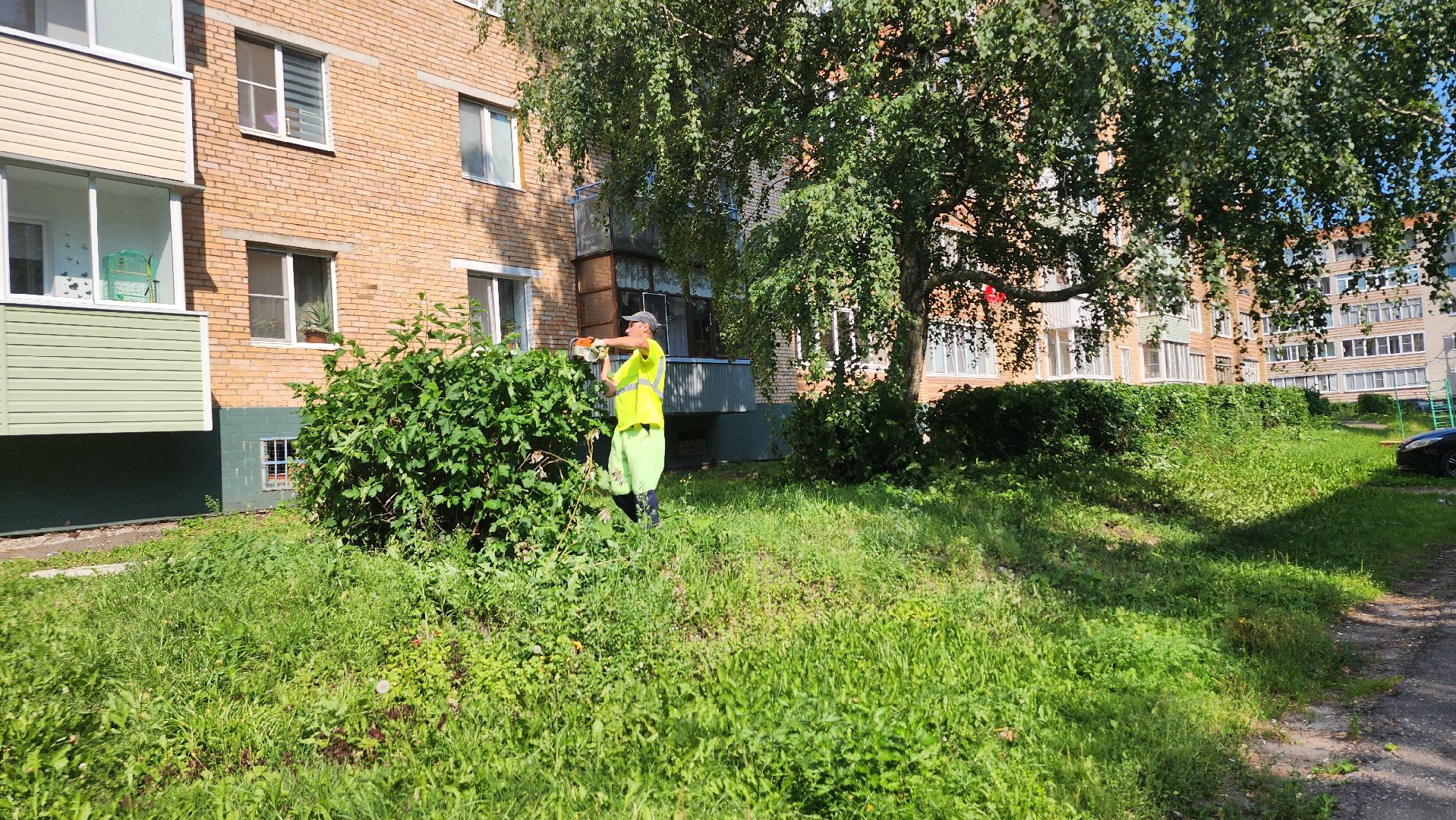 Рошаль, План добрых дел, благоустройство, Большая Шатура,