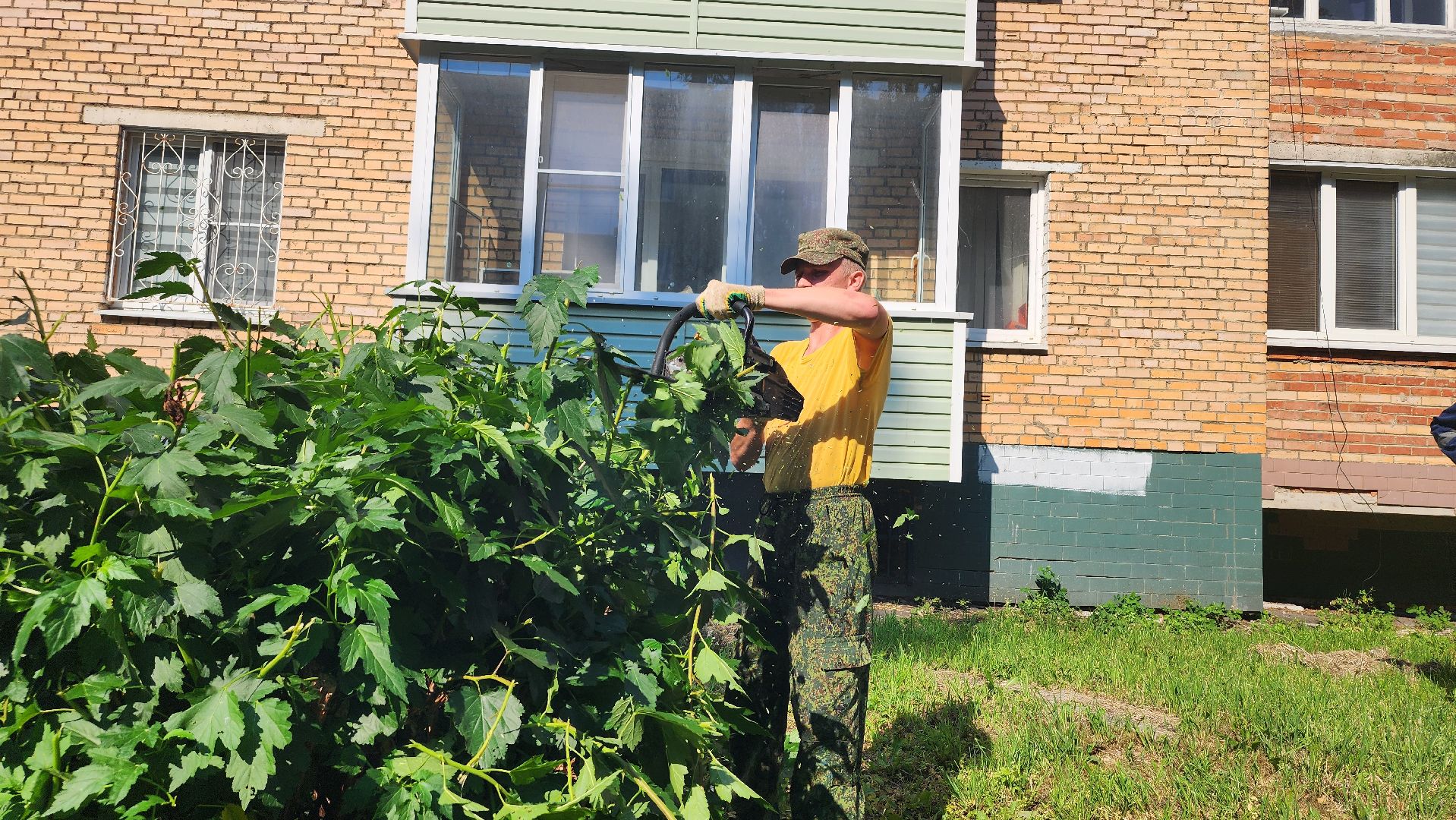 Рошаль, План добрых дел, благоустройство, Большая Шатура,