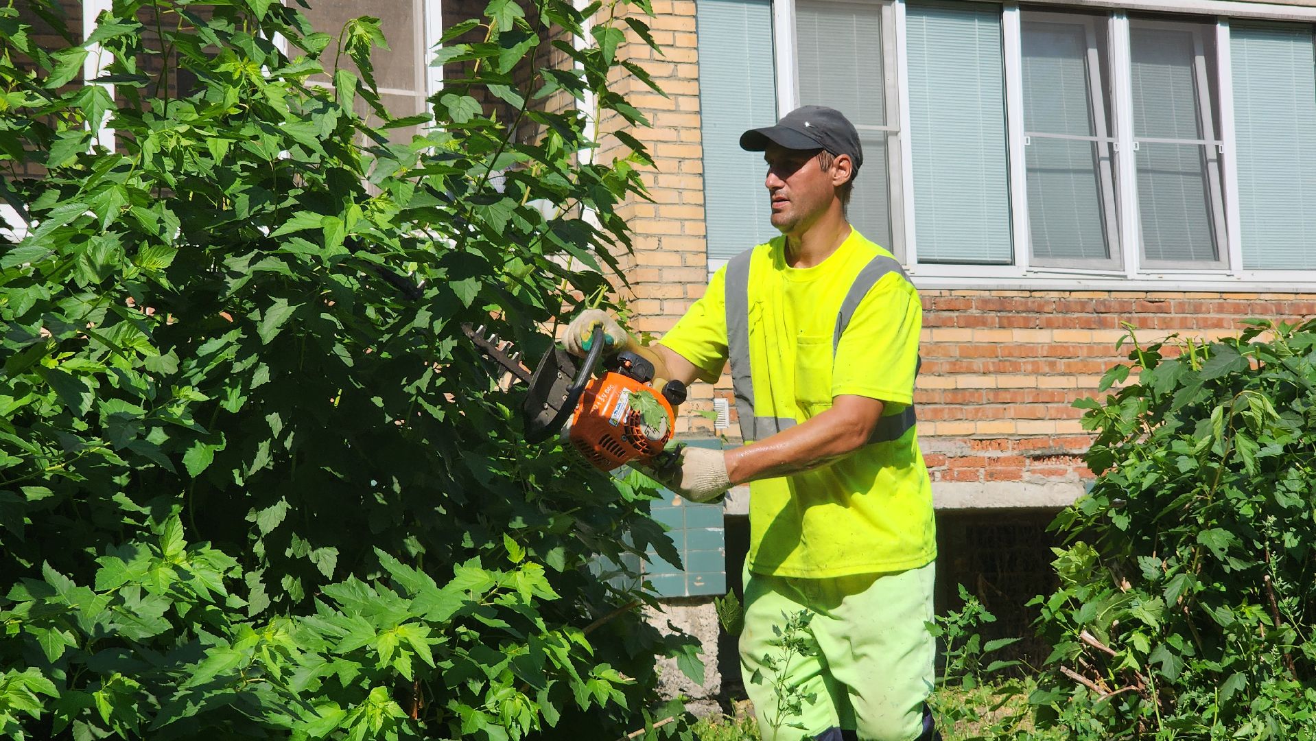 Рошаль, План добрых дел, благоустройство, Большая Шатура,