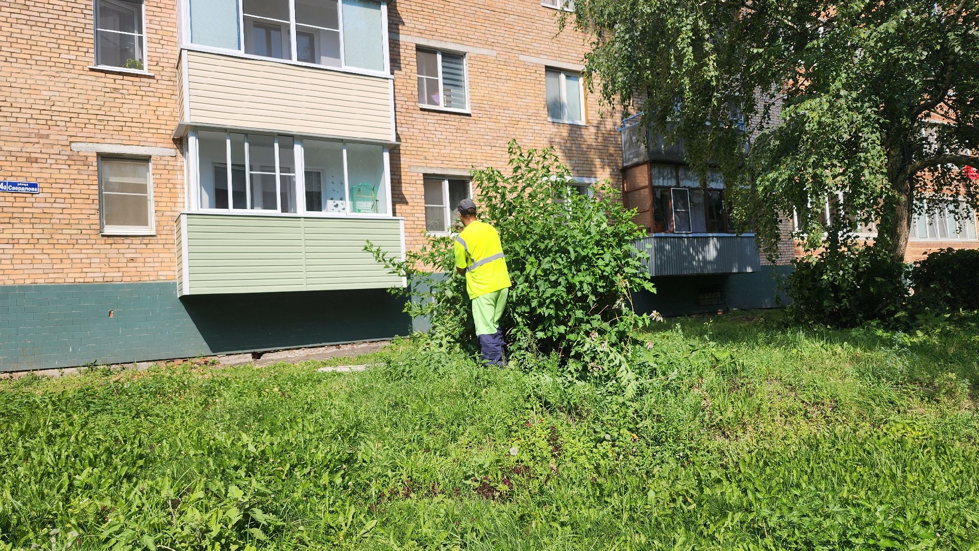 Рошаль, План добрых дел, благоустройство, Большая Шатура,