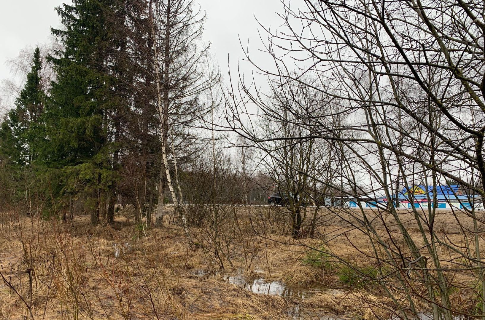 Многодетные семьи, земля, земельный участок, Наро-Фоминск, земля многодетным