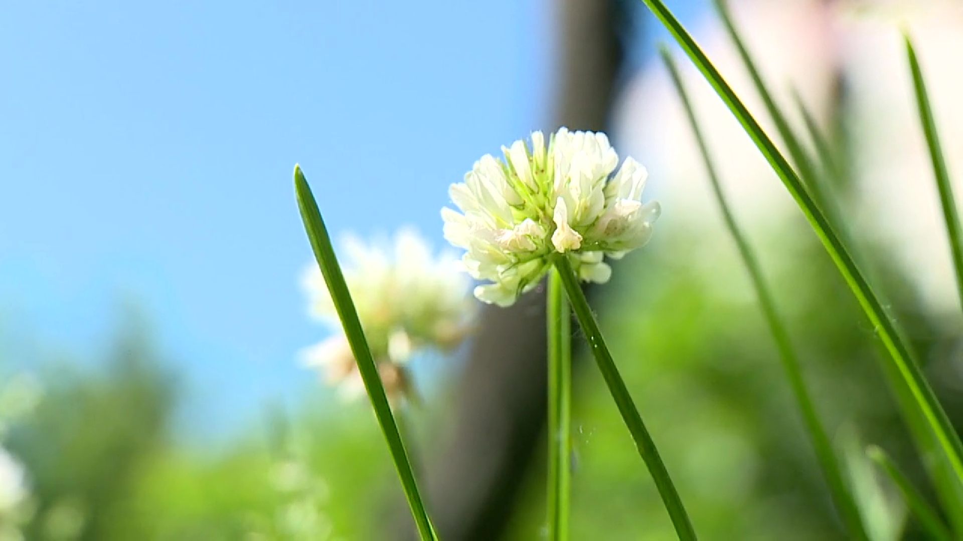 Реутов, жара, медики, солнце,