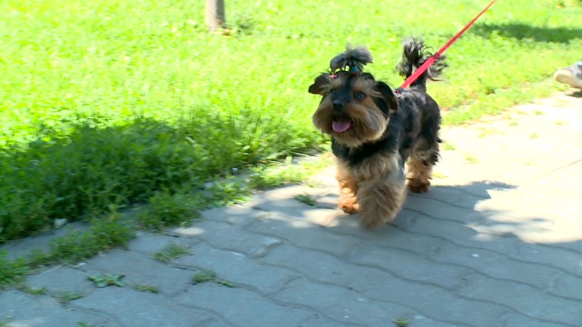 Реутов, жара, медики, солнце,