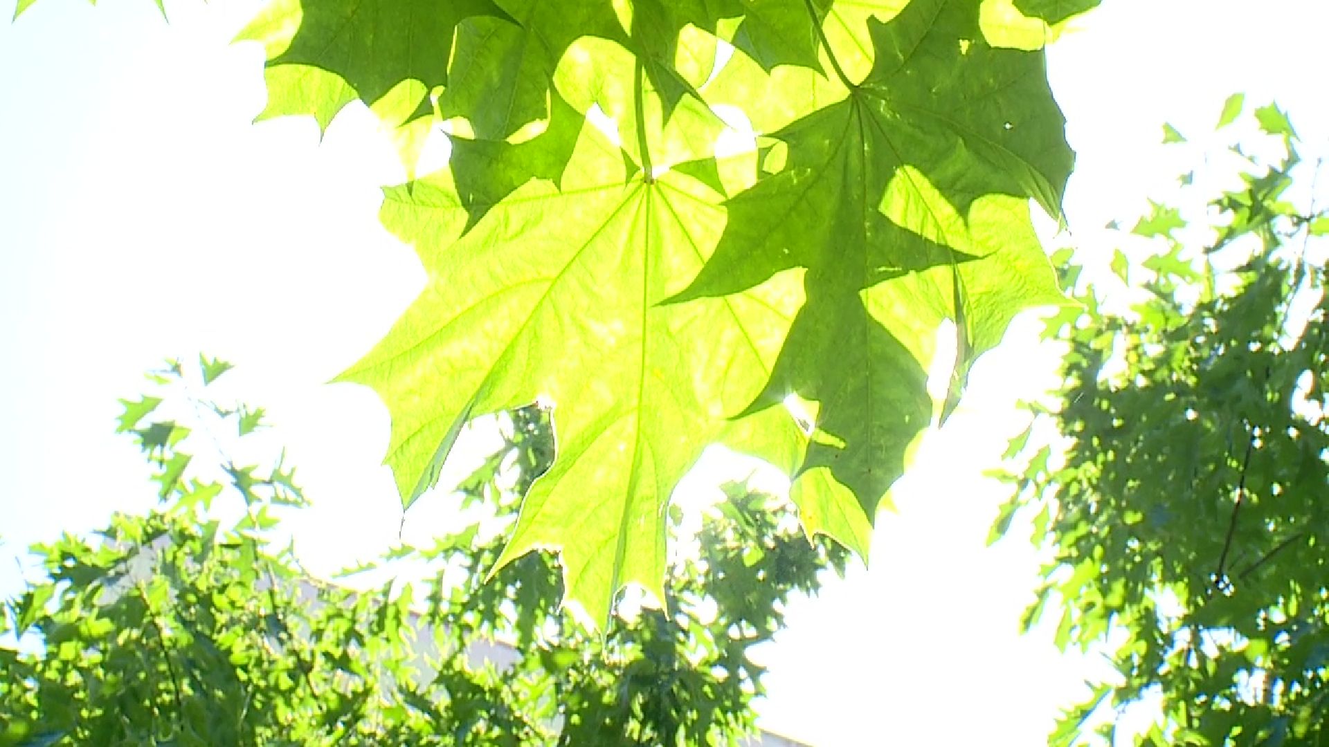 Реутов, жара, медики, солнце,