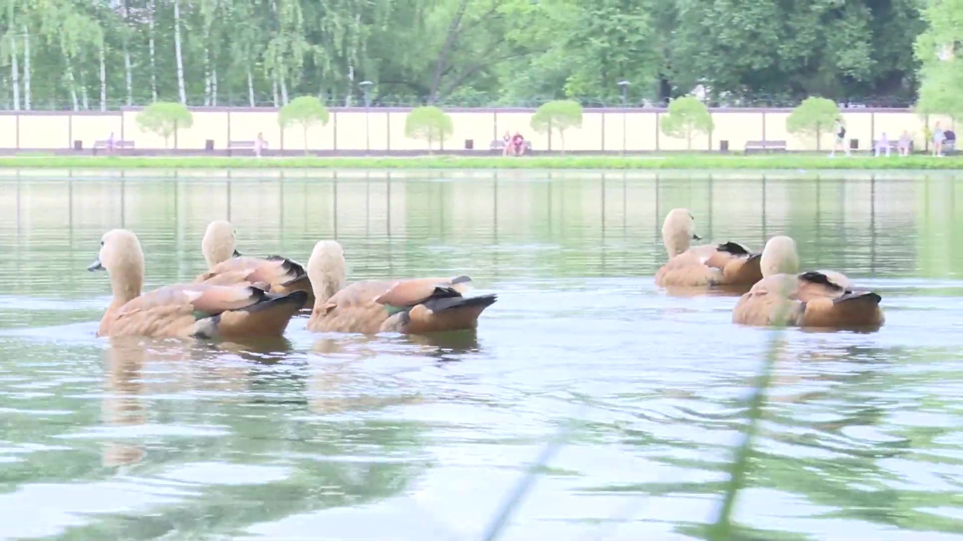 Реутов, жара, медики, солнце,